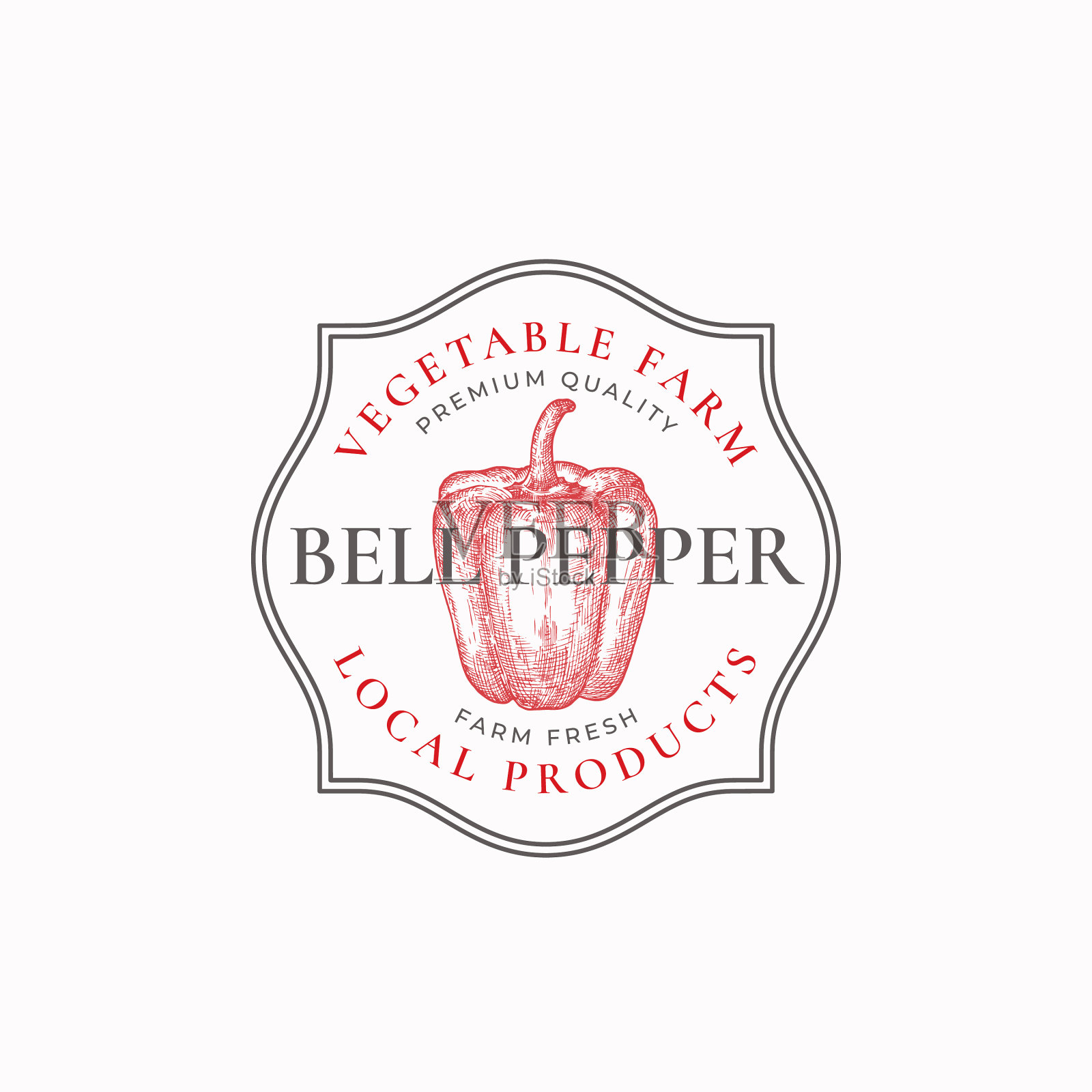 灯笼椒框架徽章或标志模板手插画图片素材