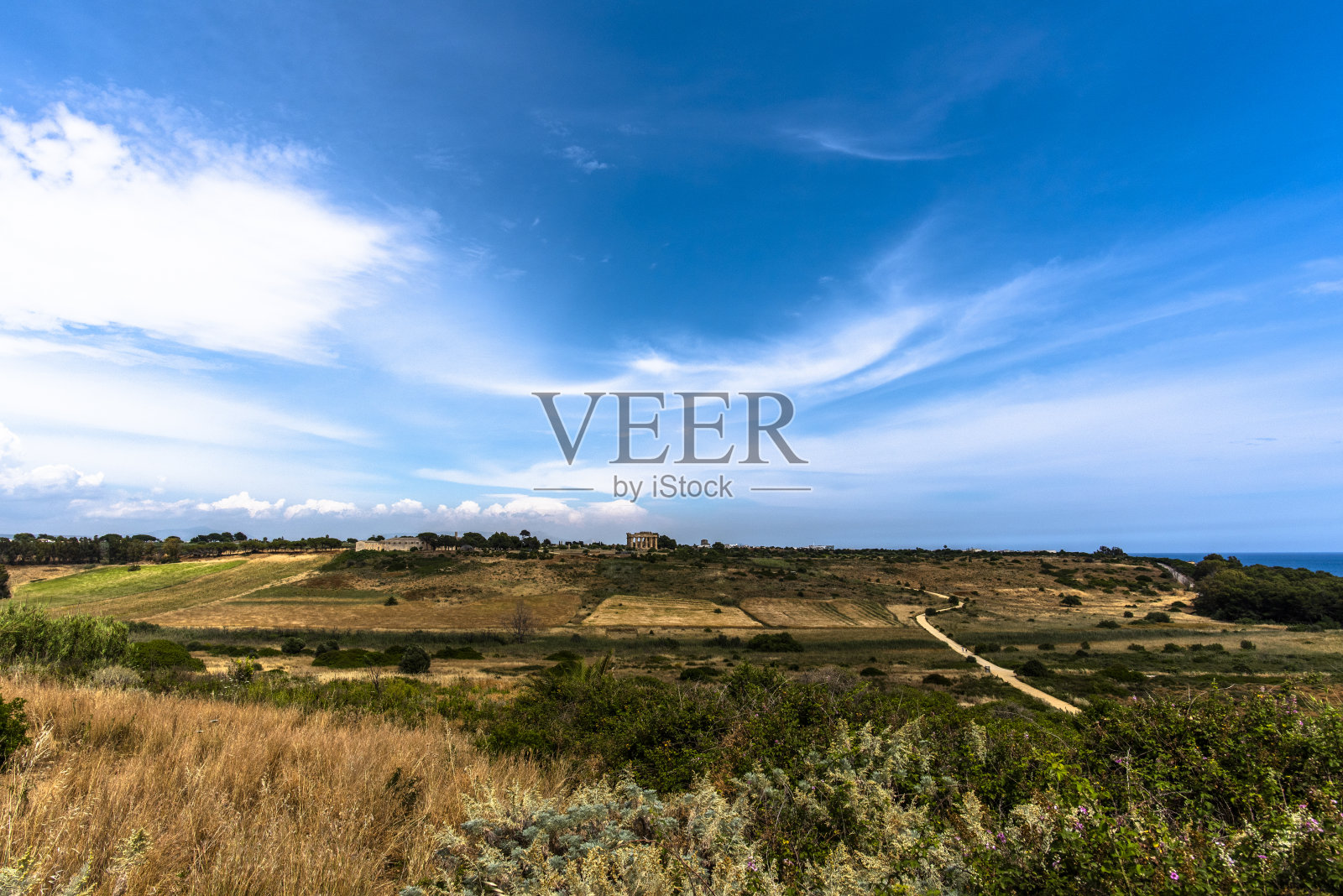 2021 05 31 Selinunte神庙E 12照片摄影图片