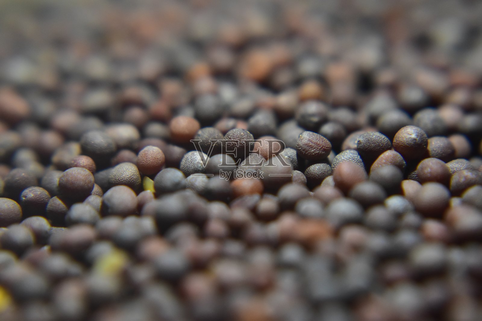 一张黑色芥末种子的特写照片照片摄影图片
