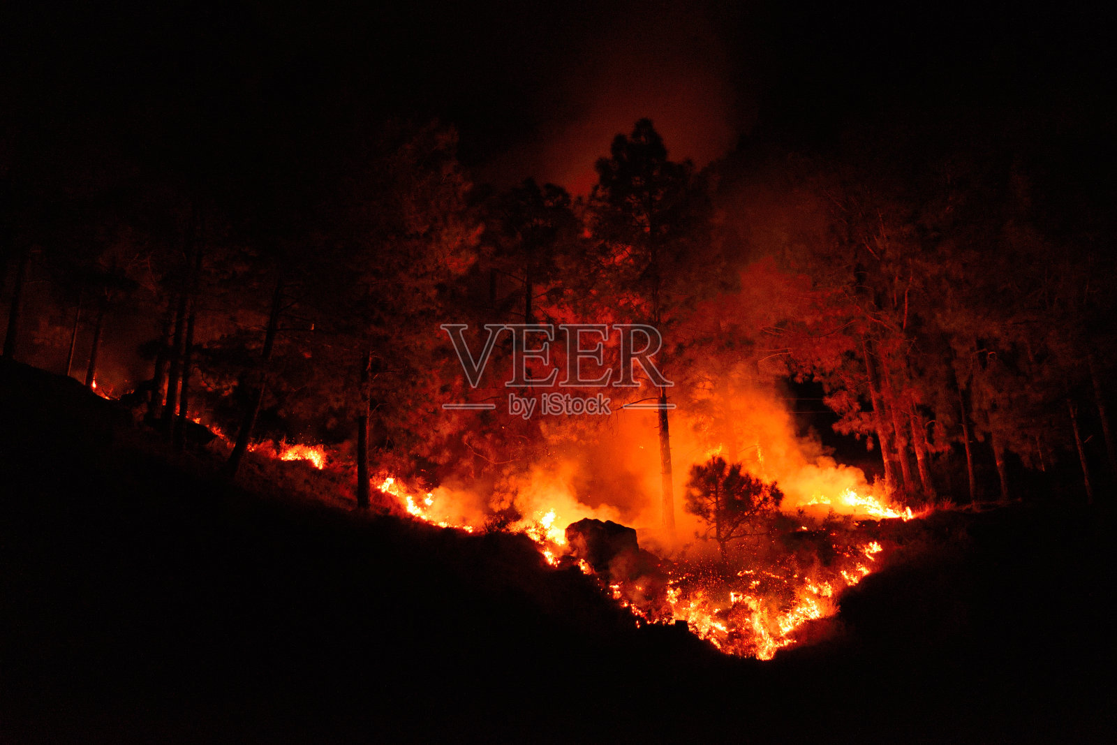 森林大火照片摄影图片