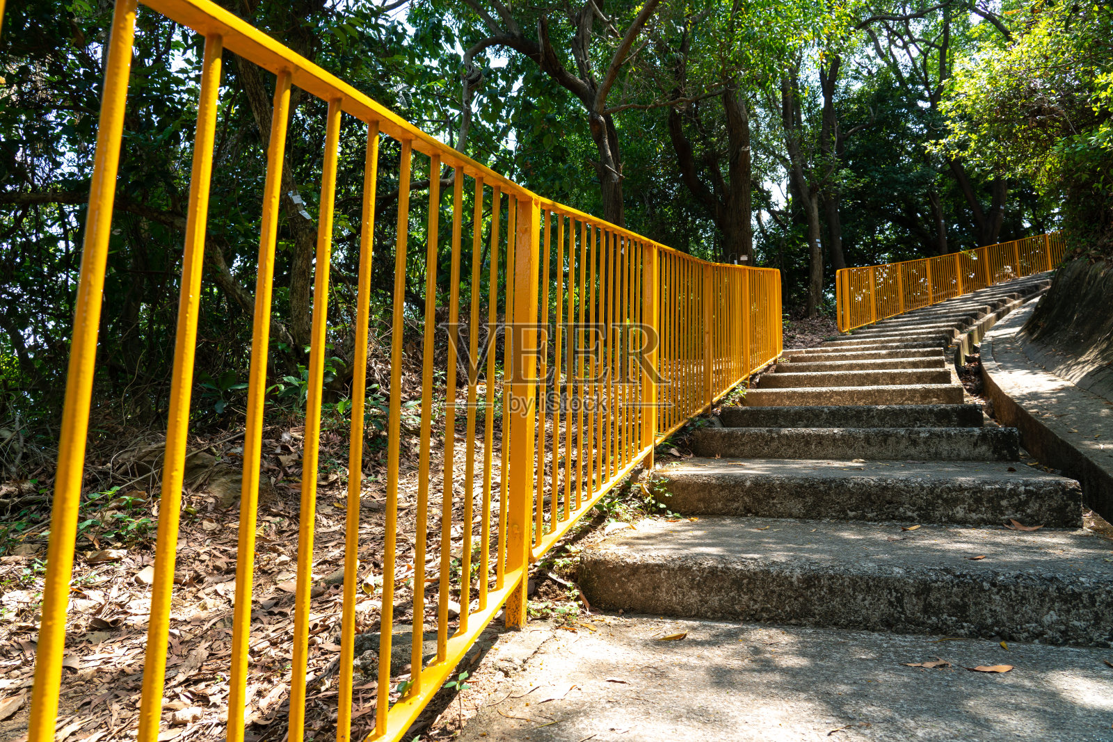 森林山上的石阶照片摄影图片