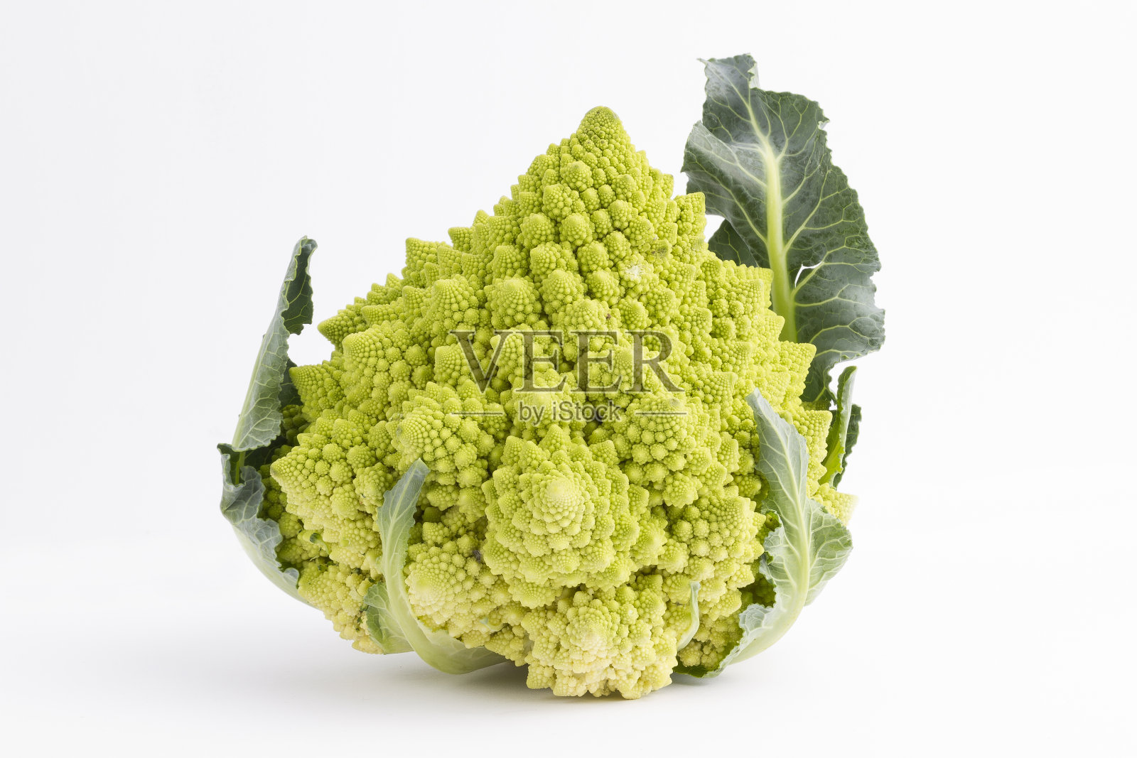 罗曼斯科花椰菜照片摄影图片