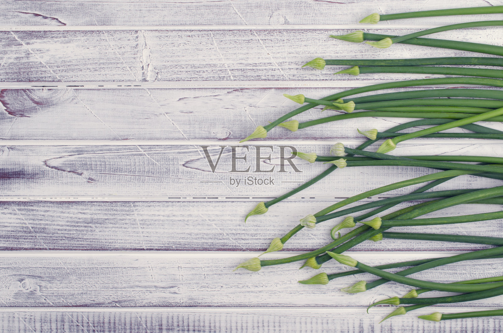 茎葱花照片摄影图片