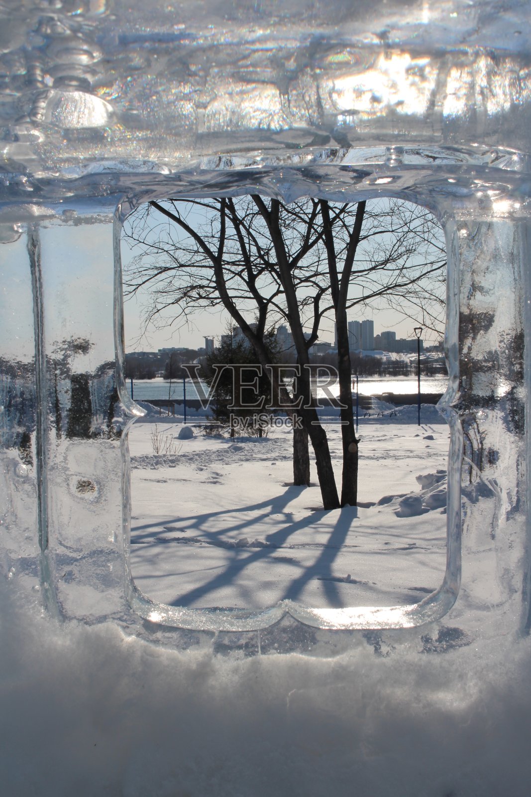 透明装饰窗用冰制成，在春天的公园里有一棵树照片摄影图片