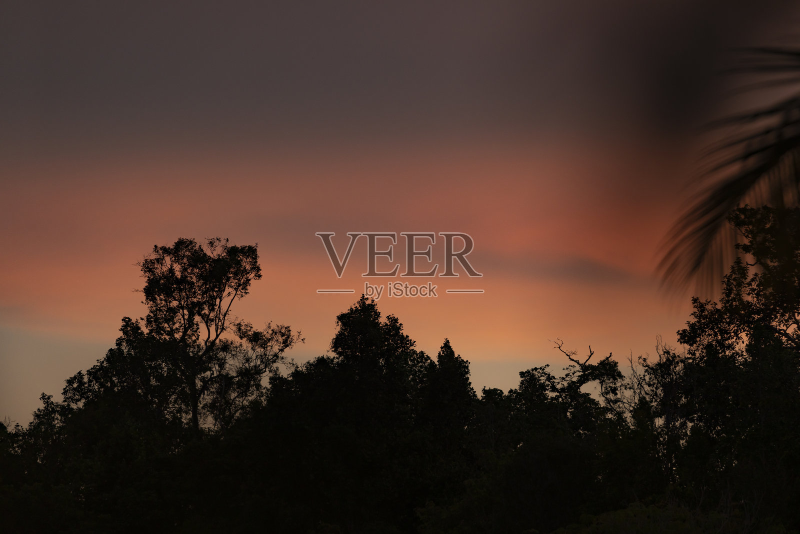 印度尼西亚拉贾安帕群岛，橙色的夕阳和最后的灯光照片摄影图片