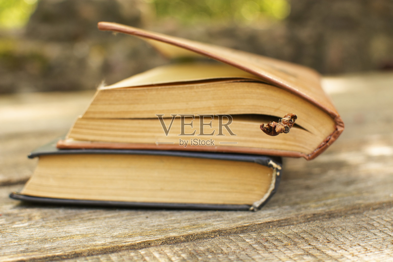 旧书放在一张木桌上。教育理念照片摄影图片