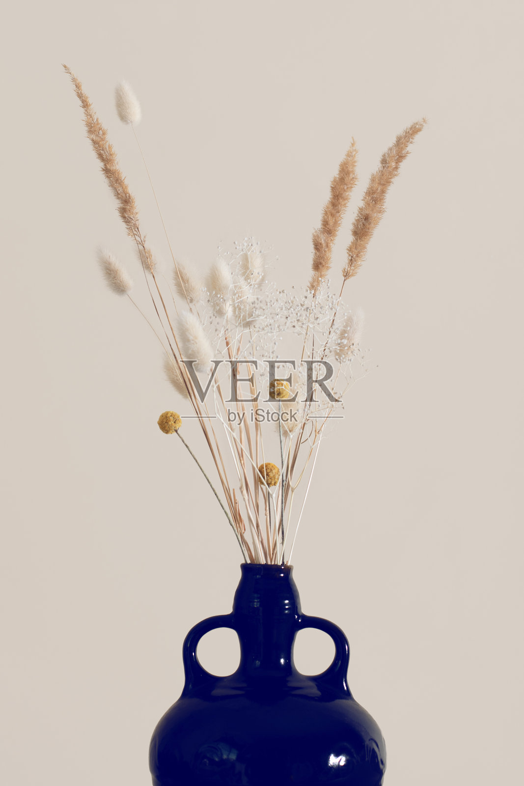 米色背景上花瓶里的干花。照片摄影图片