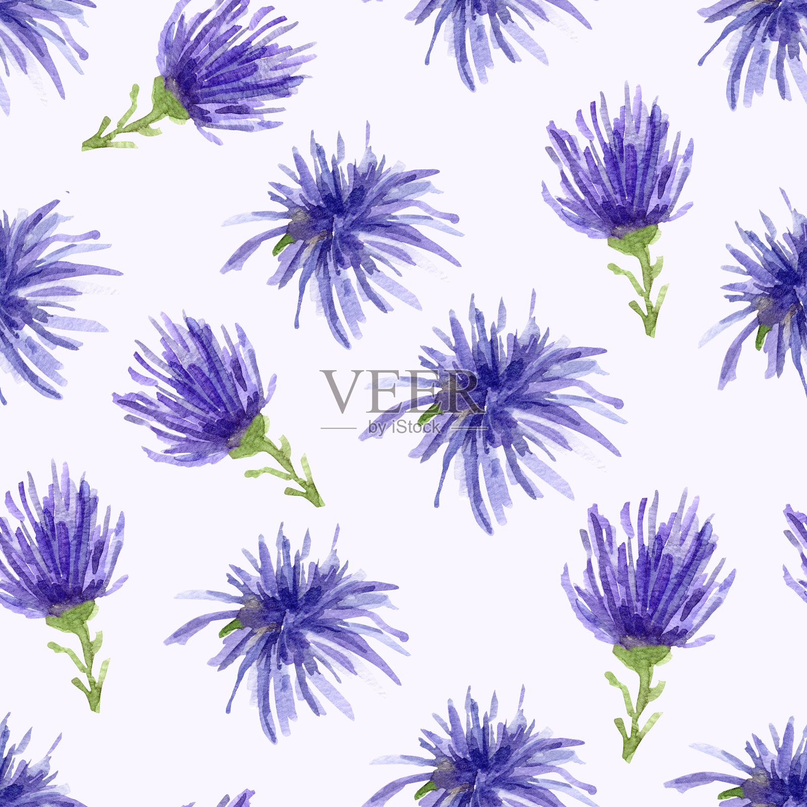 蓝色菊花水彩无缝图案。插画图片素材