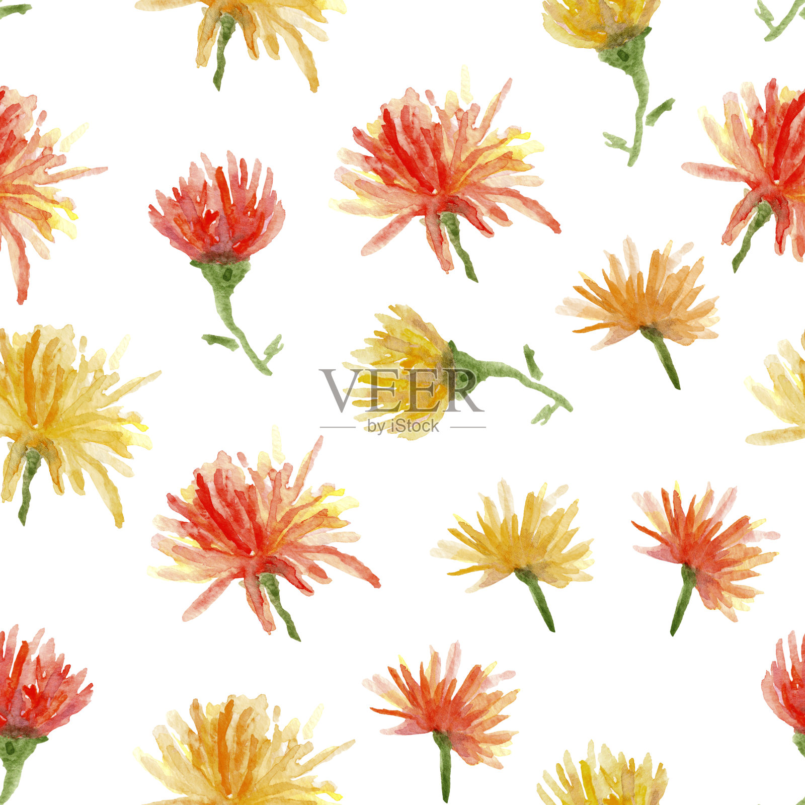 桔黄色菊花水彩无缝图案。插画图片素材