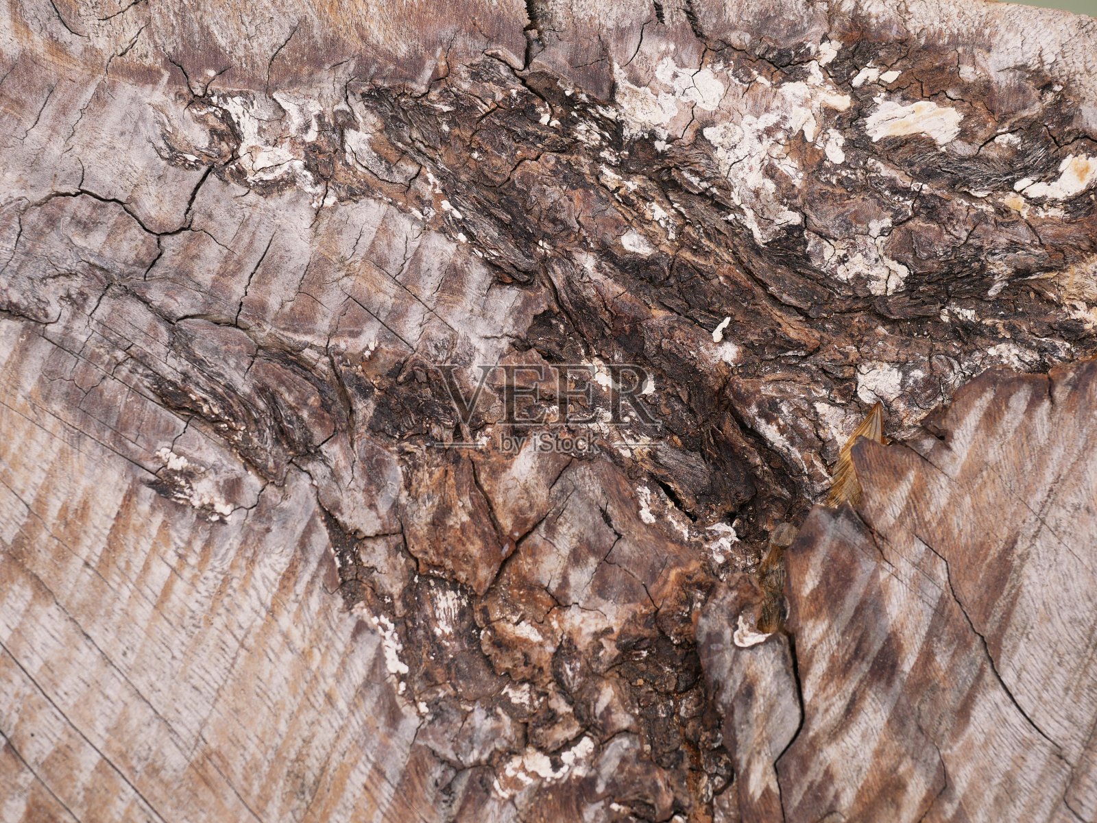 一张旧的木板桌子照片摄影图片