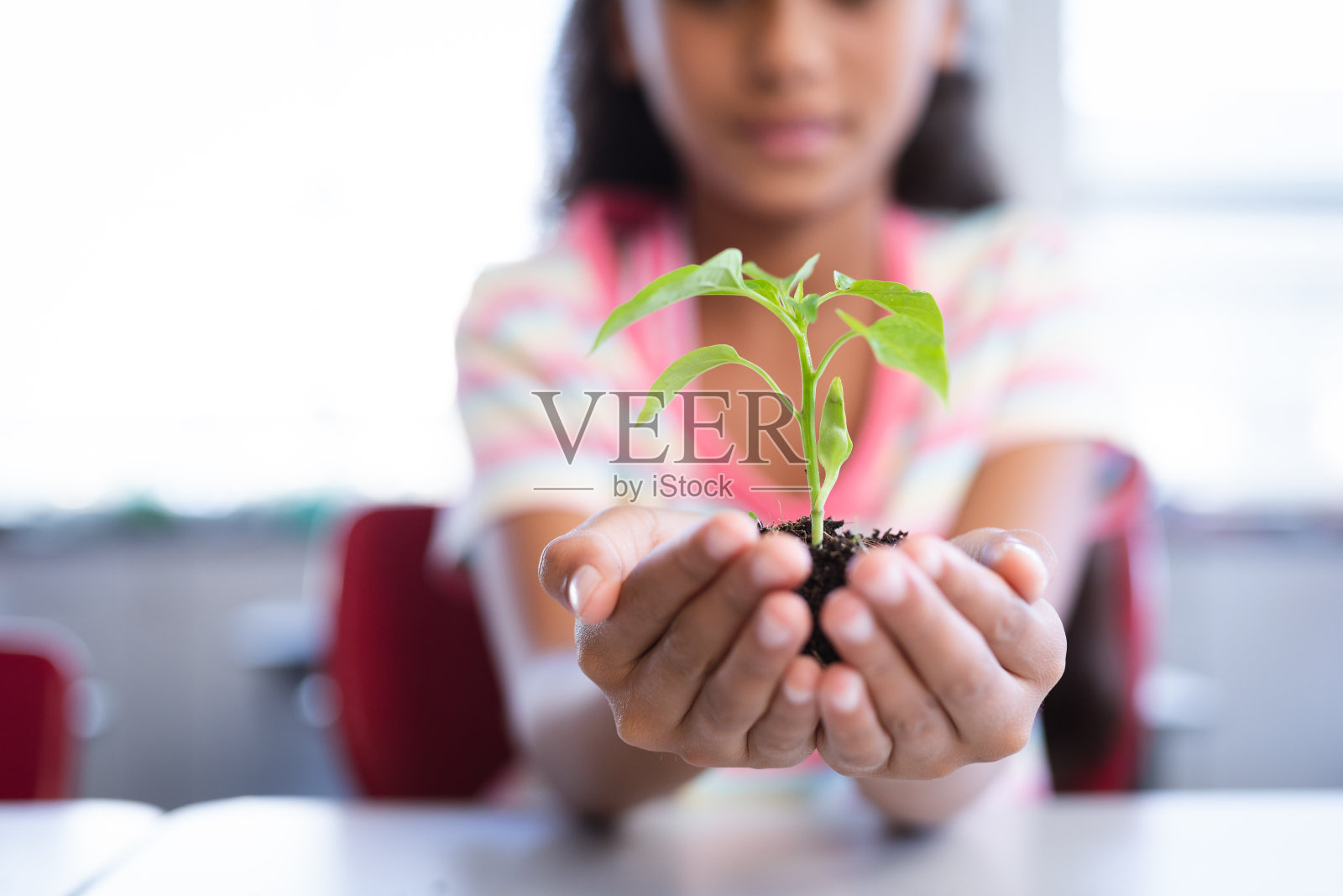中间部分的女孩抱着植物幼苗，而坐在她的桌子上在学校上课照片摄影图片