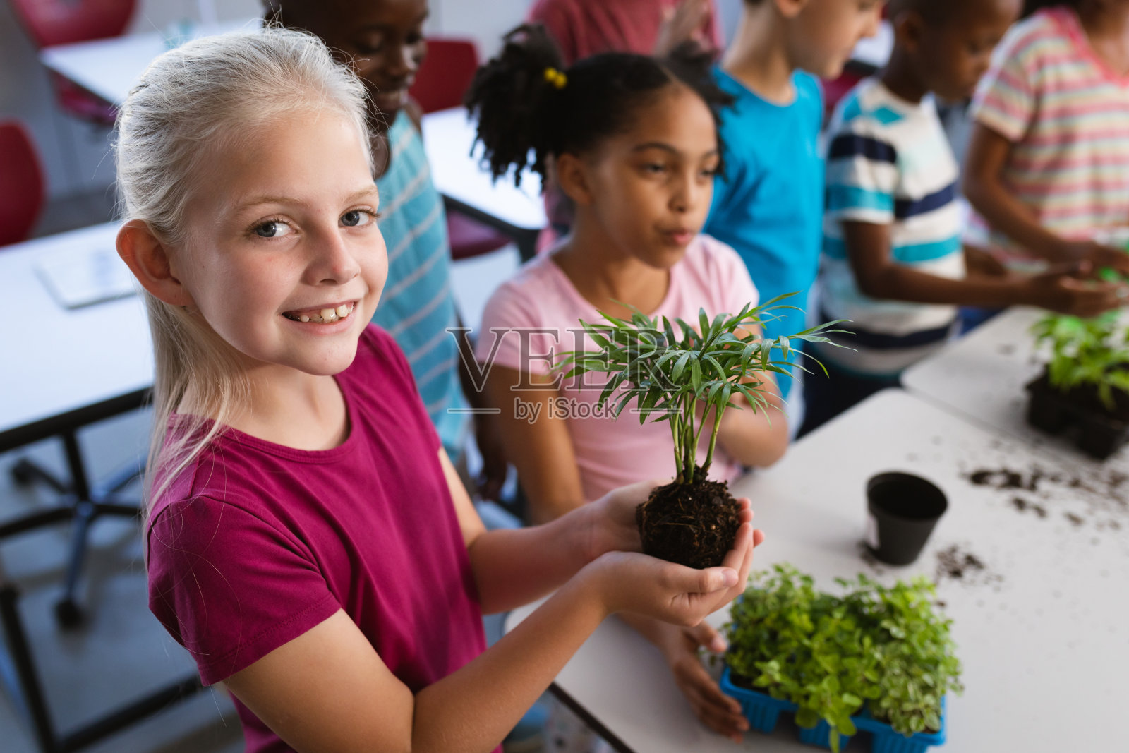 在学校的课堂上，一个微笑的白人女孩抱着一株植物幼苗的肖像照片摄影图片