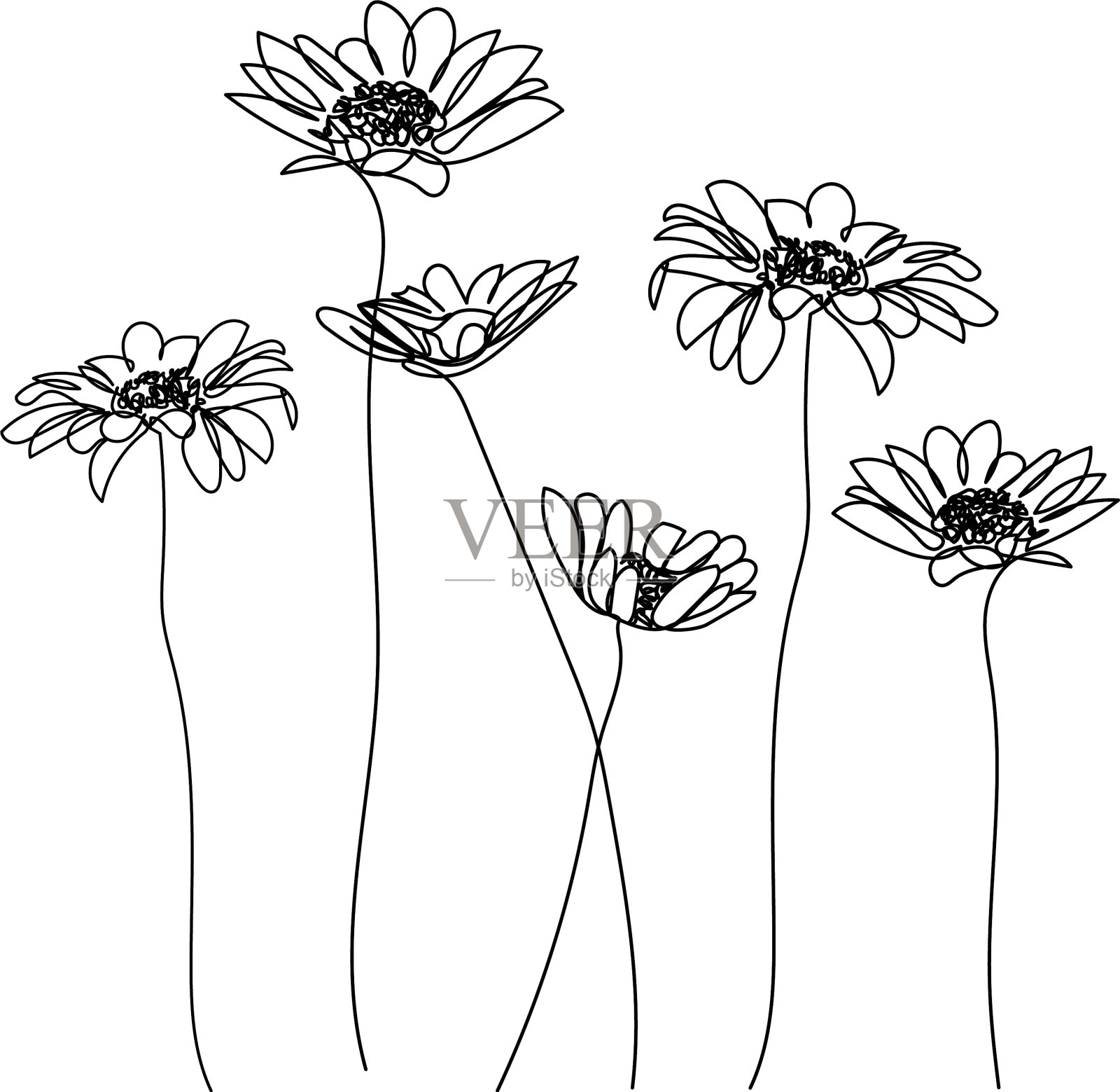 洋甘菊，一株设计元素图片