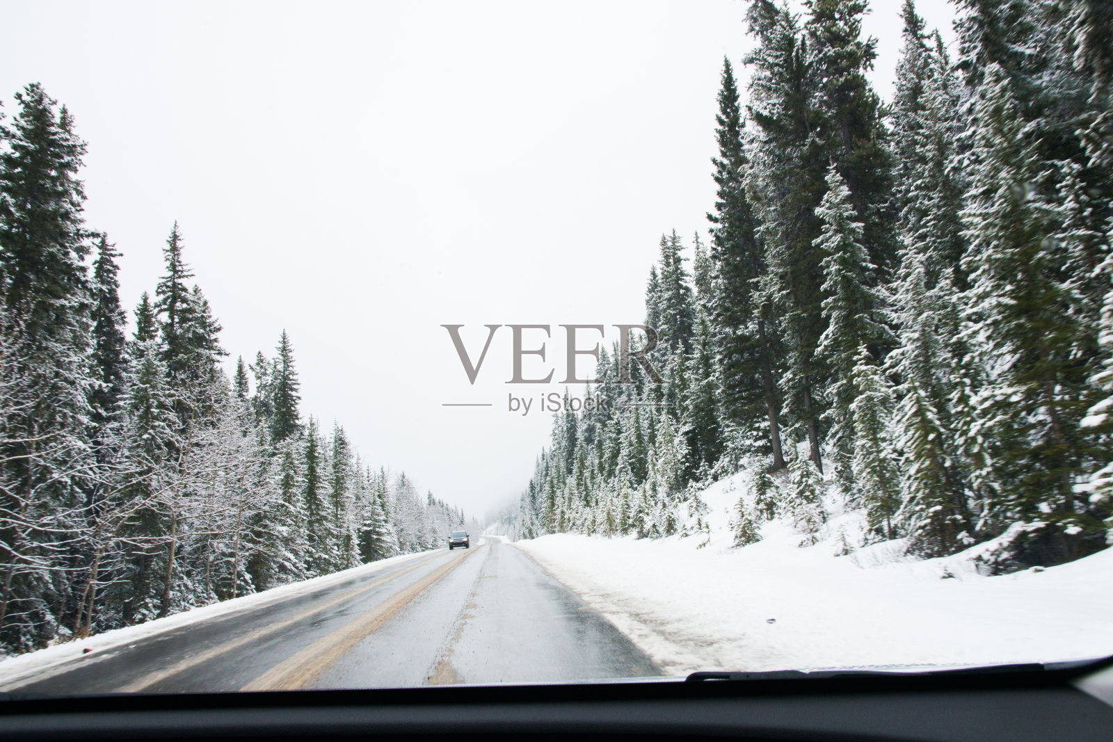 冬天在加拿大的山路上行驶。周围是美丽的白雪覆盖的松树，只有一辆车驶近。班夫国家公园照片摄影图片