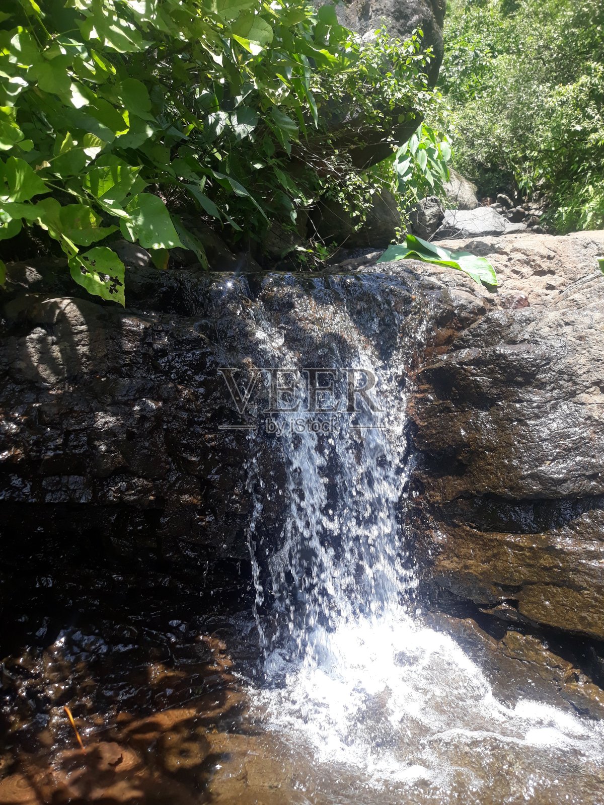 萨菲拉照片摄影图片