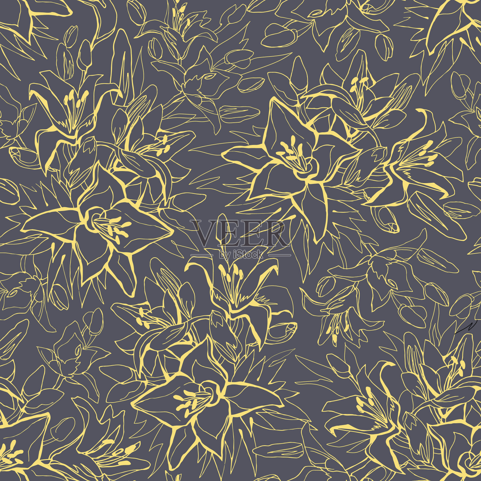 勾勒出黄色照亮的百合花插画图片素材