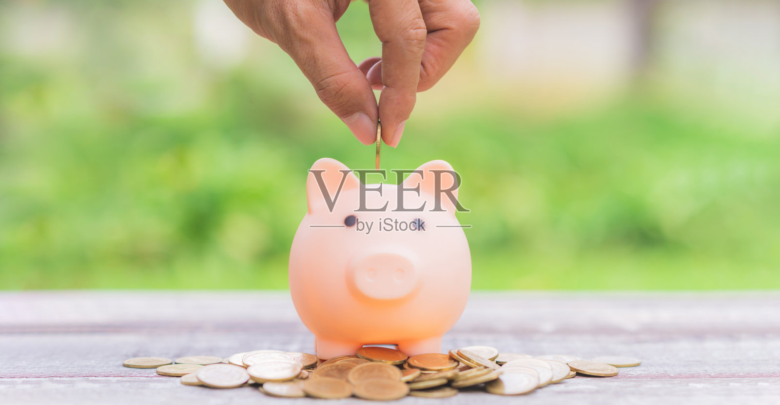 省钱和企业财务理念。商人将硬币放入小猪储蓄罐，放在木桌上，在绿色模糊的自然背景下堆放硬币。照片摄影图片