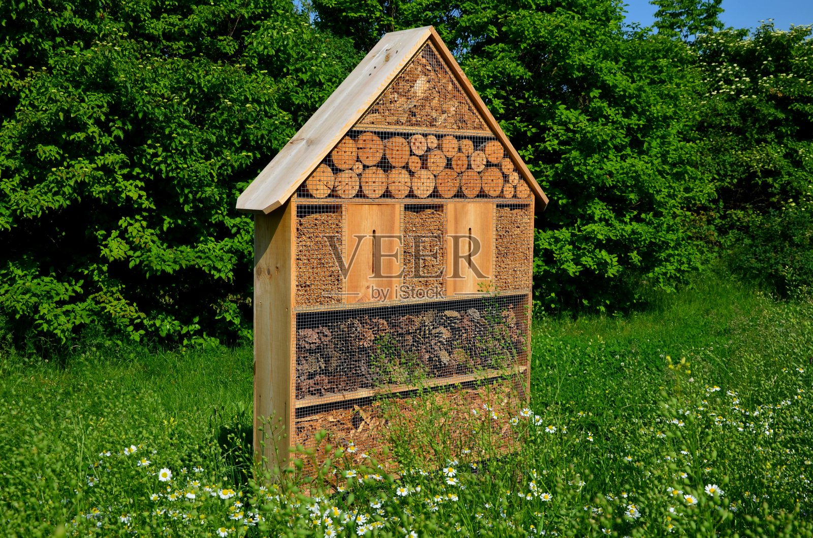 停车场和公路之间种着一片开花的草地。该地区附近有一座木房子作为住宿和产卵昆虫。有洞用来产虫卵的树枝或木头。照片摄影图片