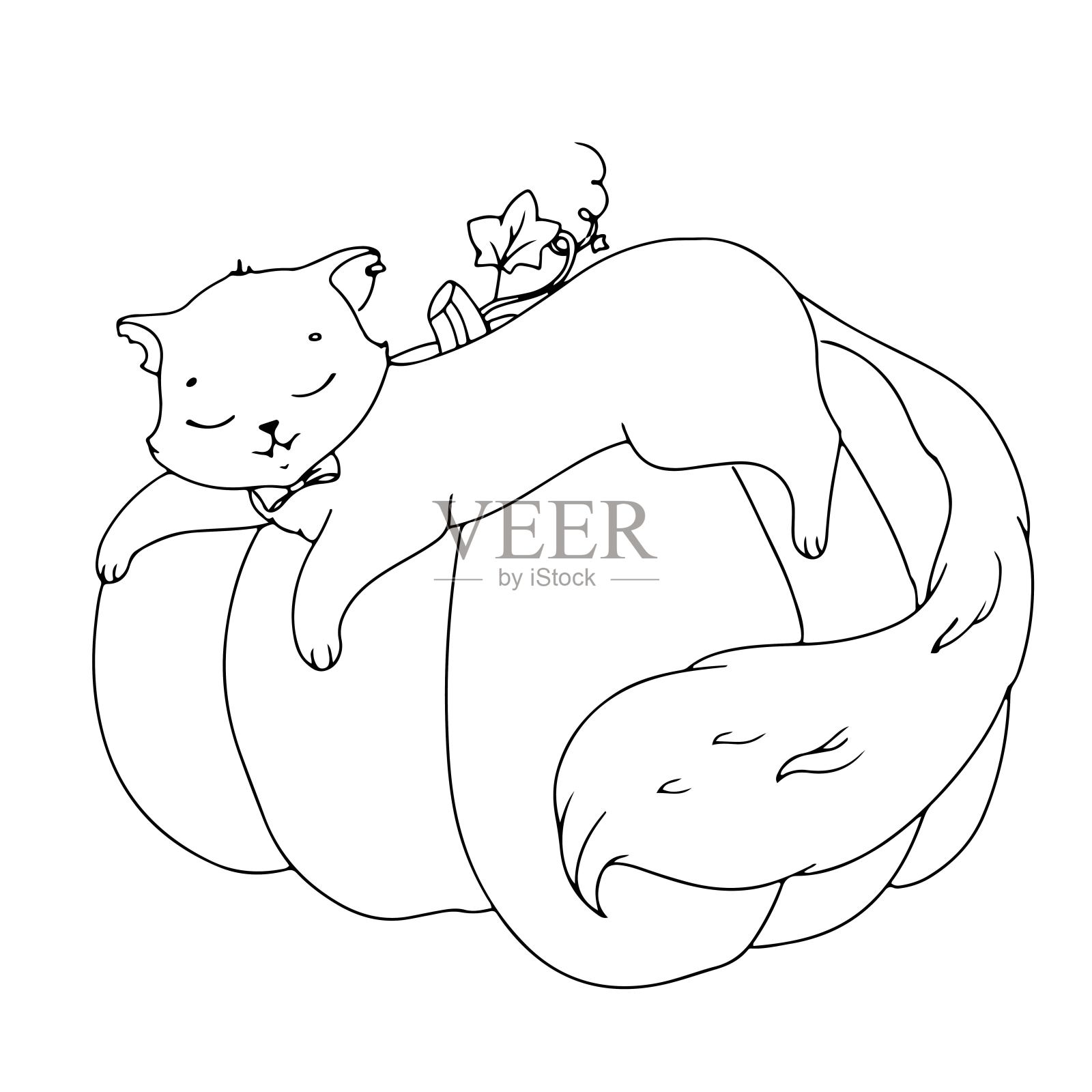 带着蝴蝶结的可爱小猫。万圣节用猫画的简单着色书。矢量插图孤立在白色背景。插画图片素材