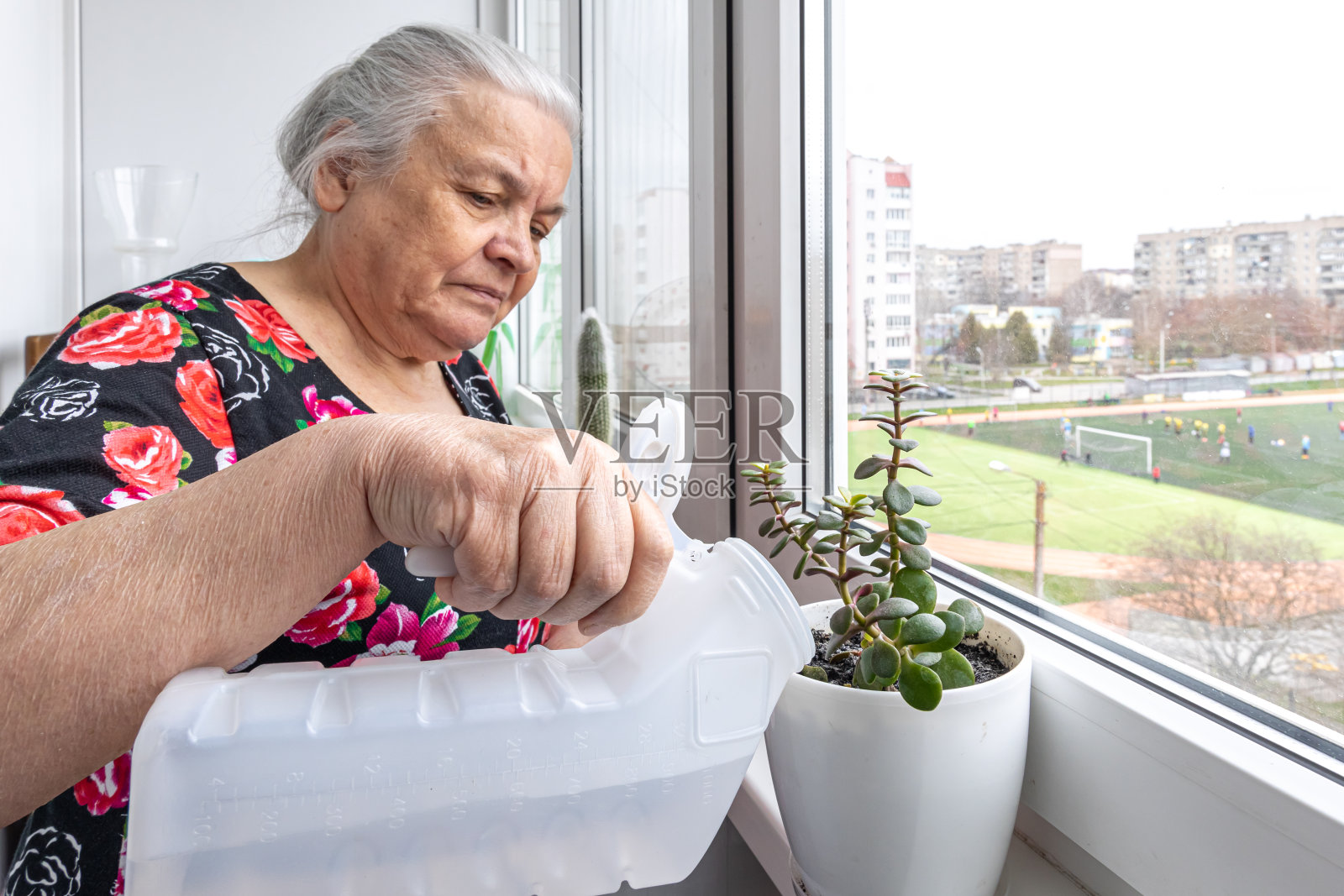 一位上了年纪的妇女正在给家里的植物浇水。照片摄影图片
