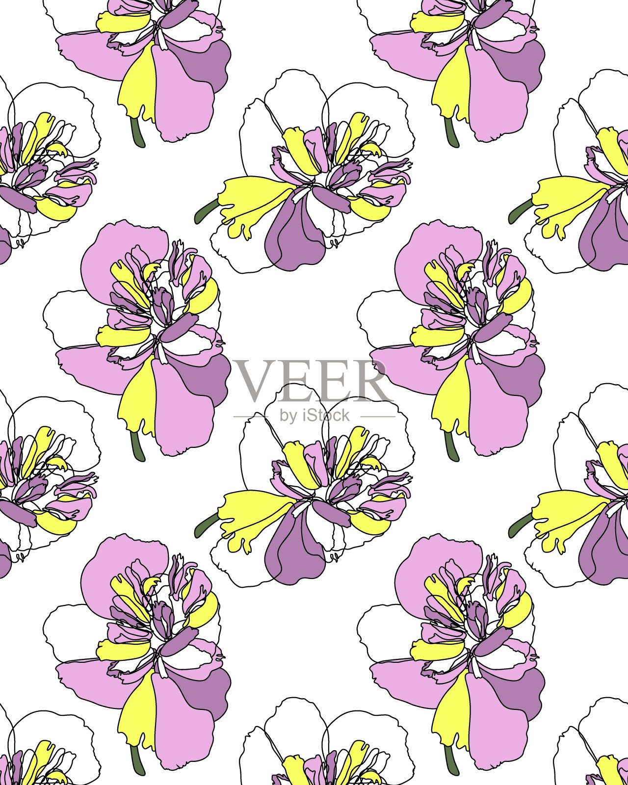 媒介植物插图。牡丹的颜色和线条。无缝垂直模式。白色背景。白色背景上开放的花园花朵。空白明信片，印刷产品。手绘。插画图片素材