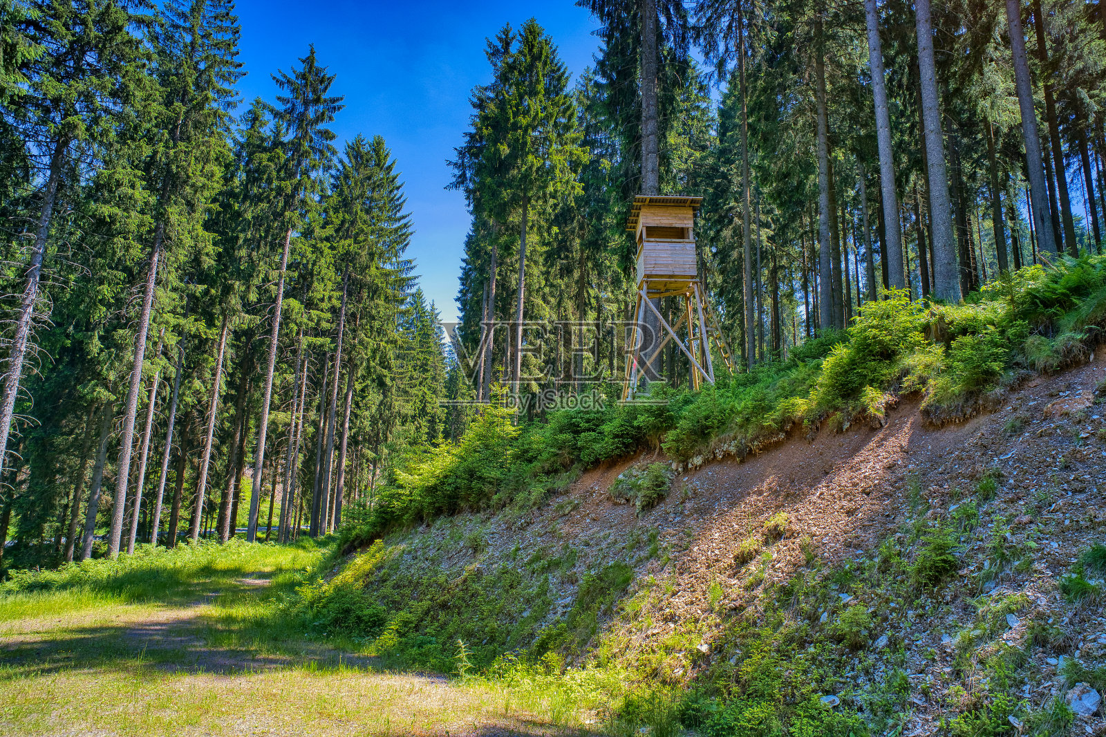 在纽豪斯的路上照片摄影图片