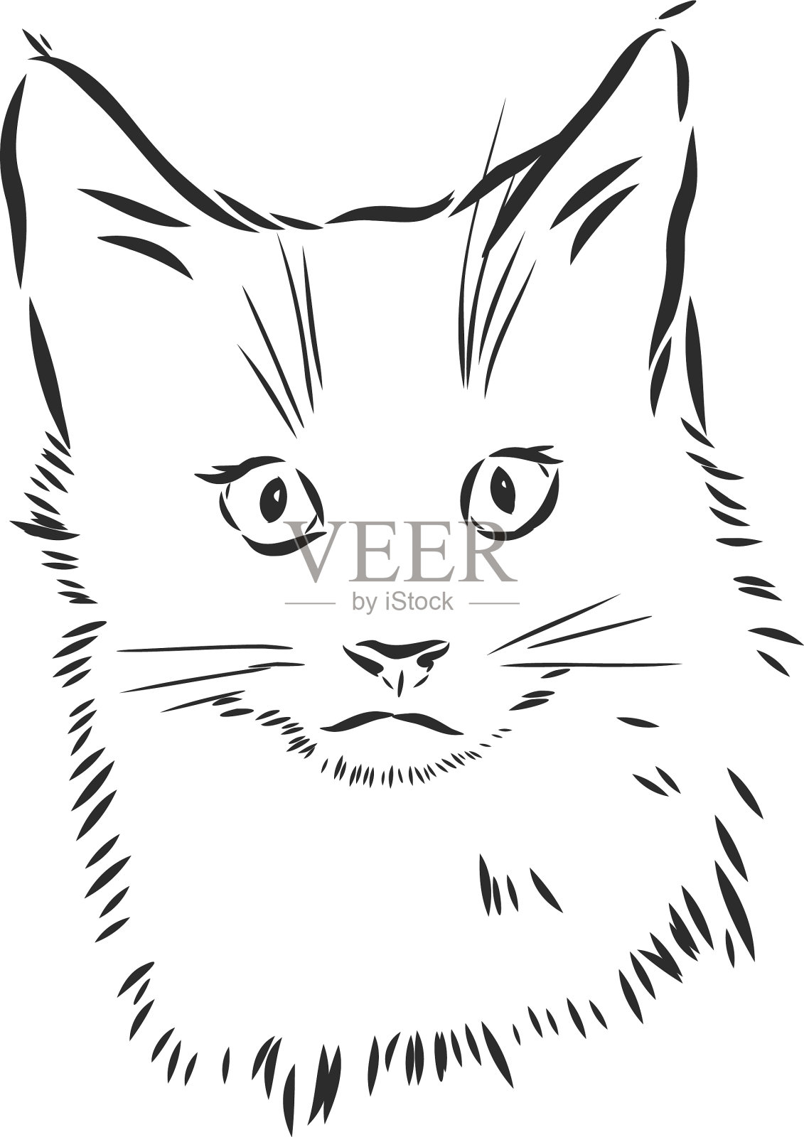 画一只猫，家猫的素描插画图片素材