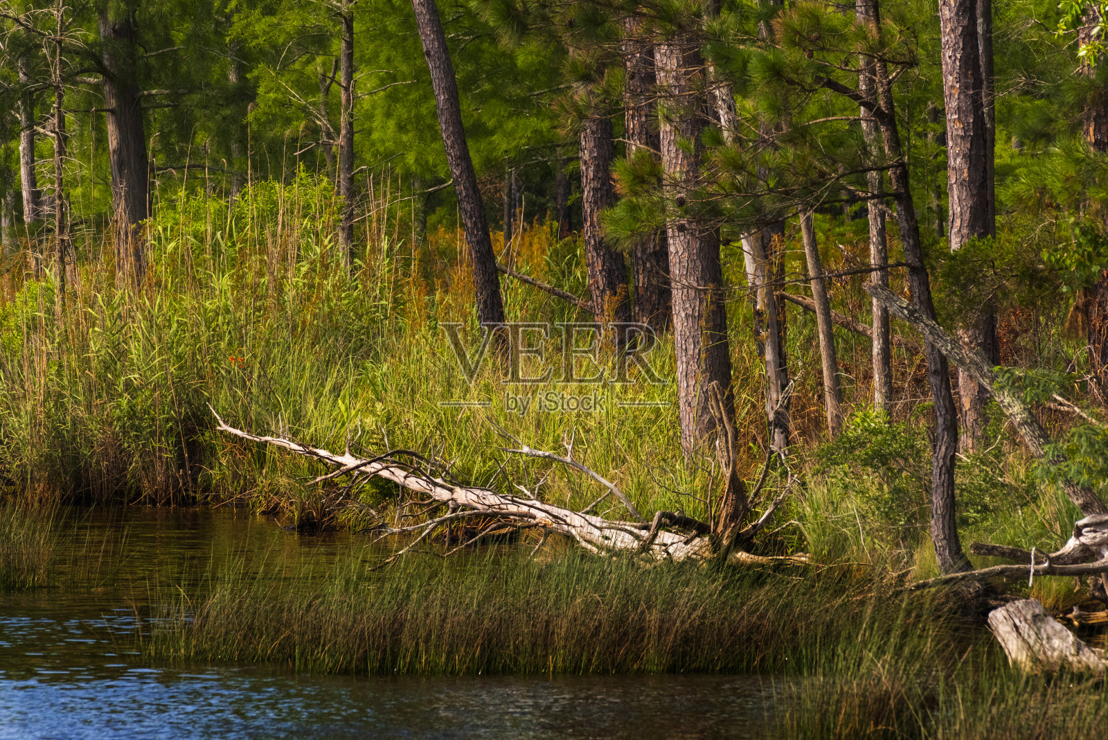 鱼河流向周湾照片摄影图片