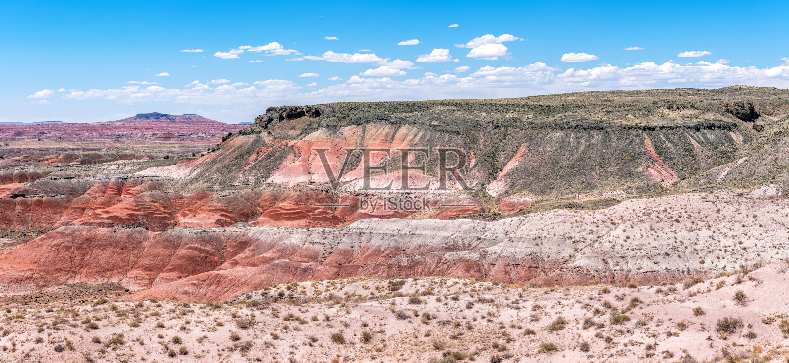 亚利桑那州的沙漠国家公园照片摄影图片