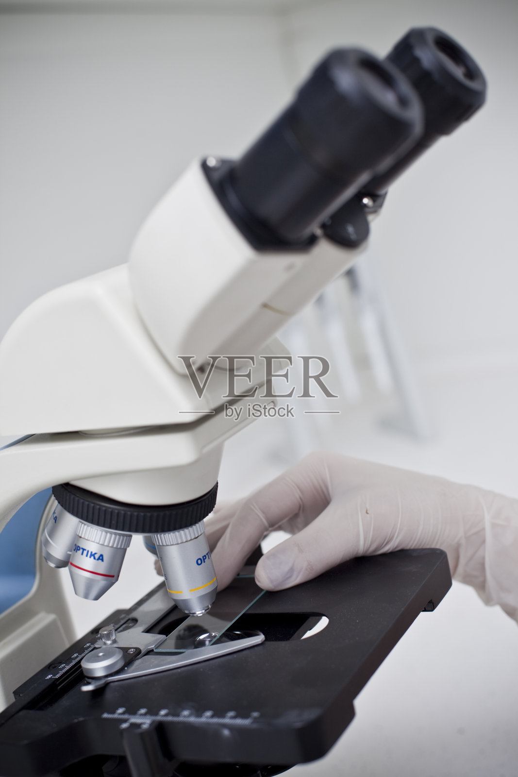 显微镜照片摄影图片