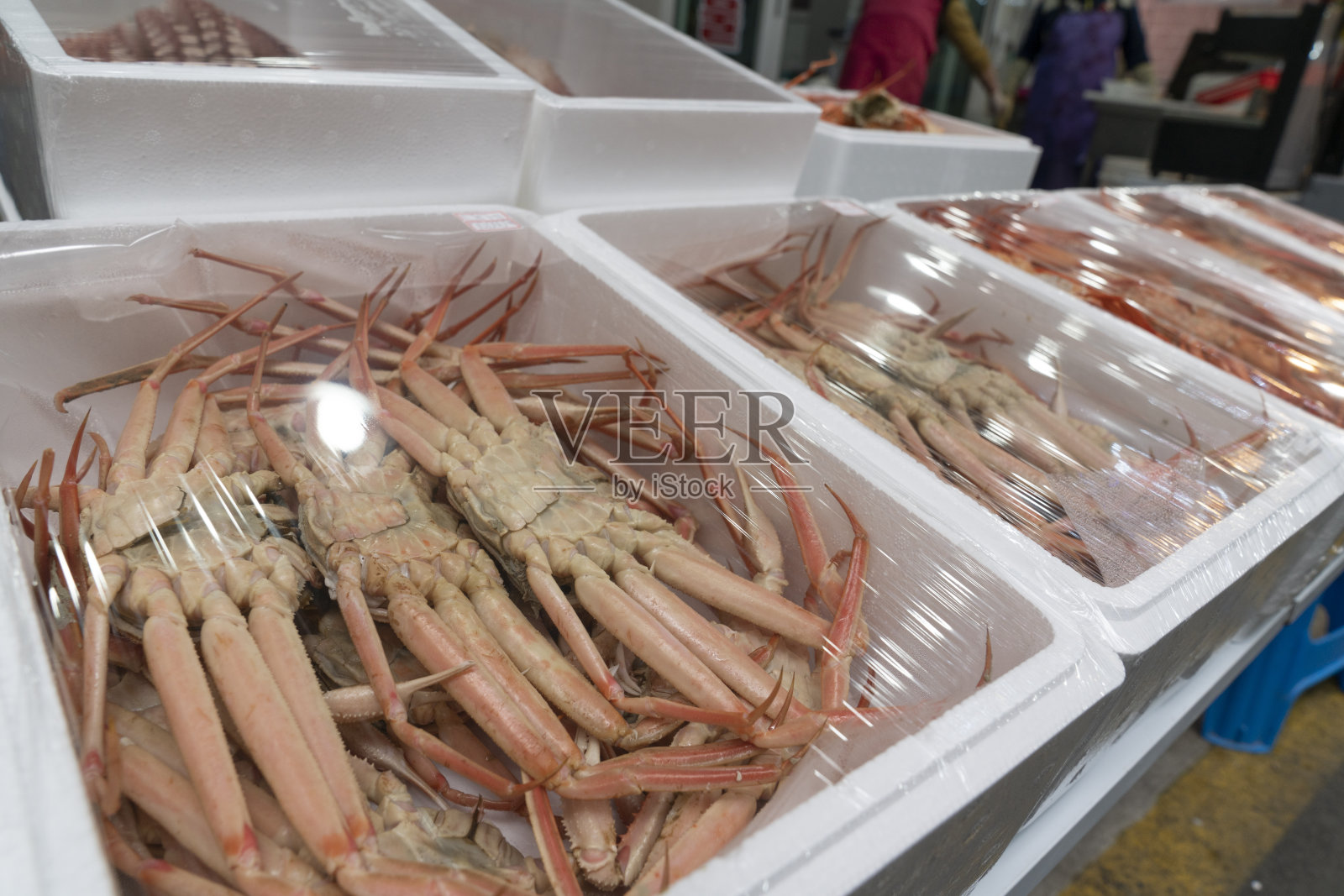 韩国照片摄影图片