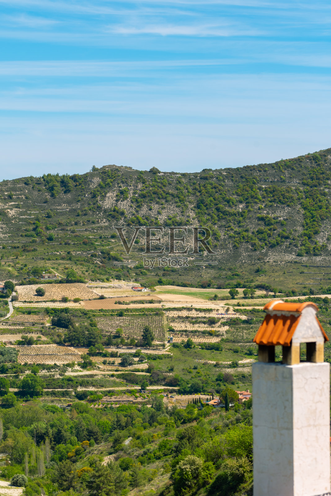 塞浦路斯中部葡萄种植区的初季，葡萄开始生长照片摄影图片