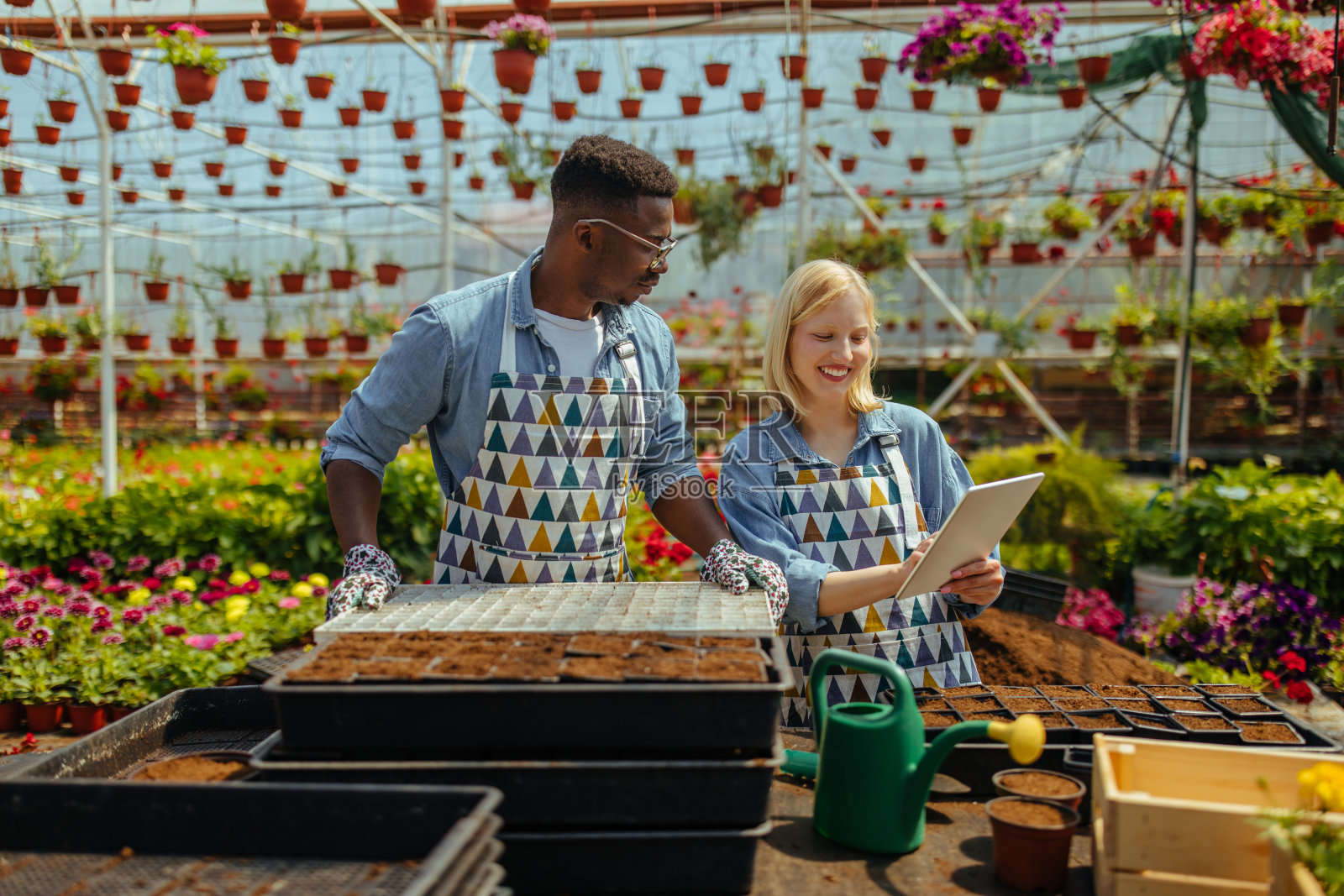 在园艺中心工作的园丁照片摄影图片