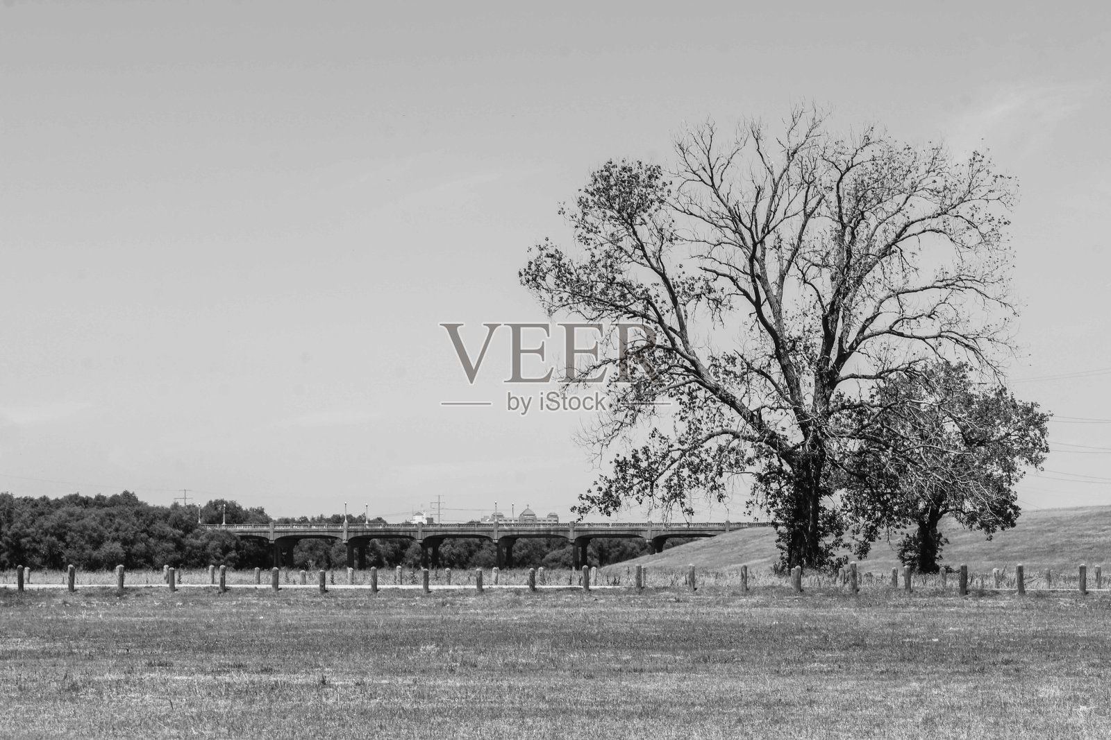 德州达拉斯的黑与白照片摄影图片