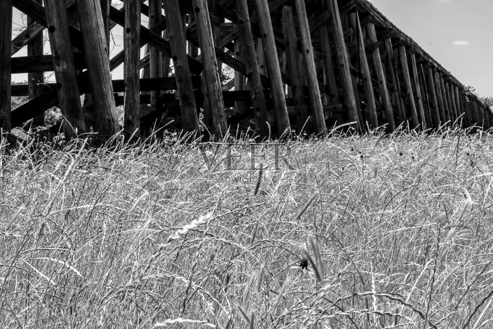 德州达拉斯的黑与白照片摄影图片