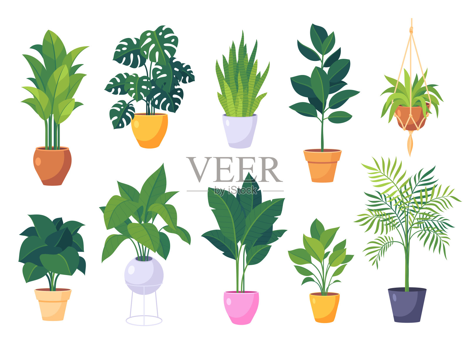 一套办公室和家庭植物插画图片素材