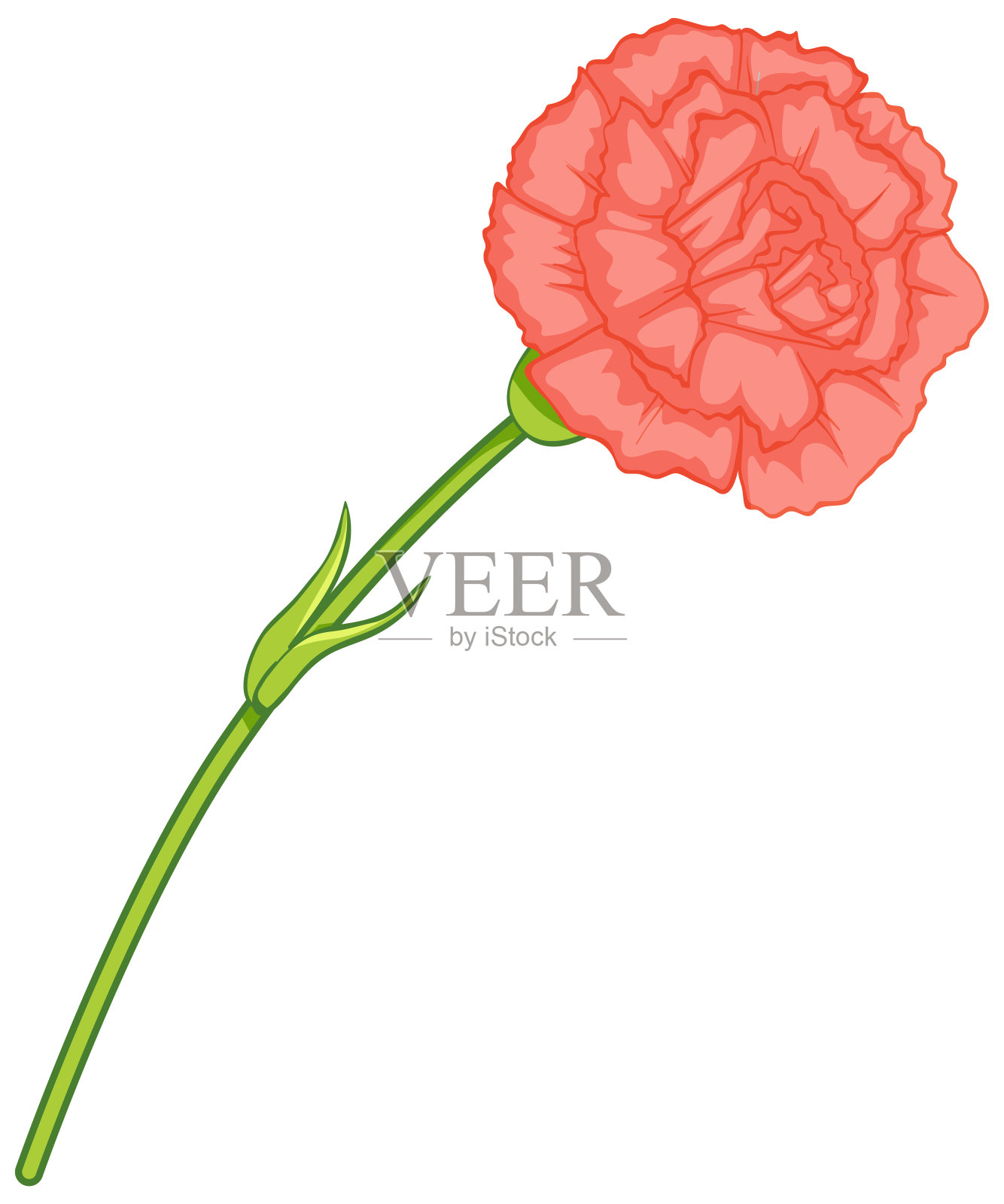 粉红色康乃馨花在卡通风格孤立插画图片素材