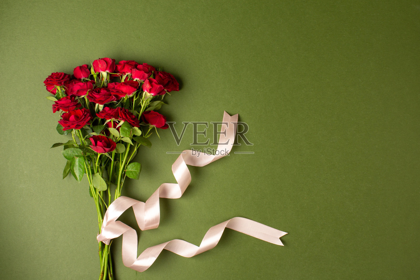 美丽的新鲜玫瑰为特殊的场合照片摄影图片