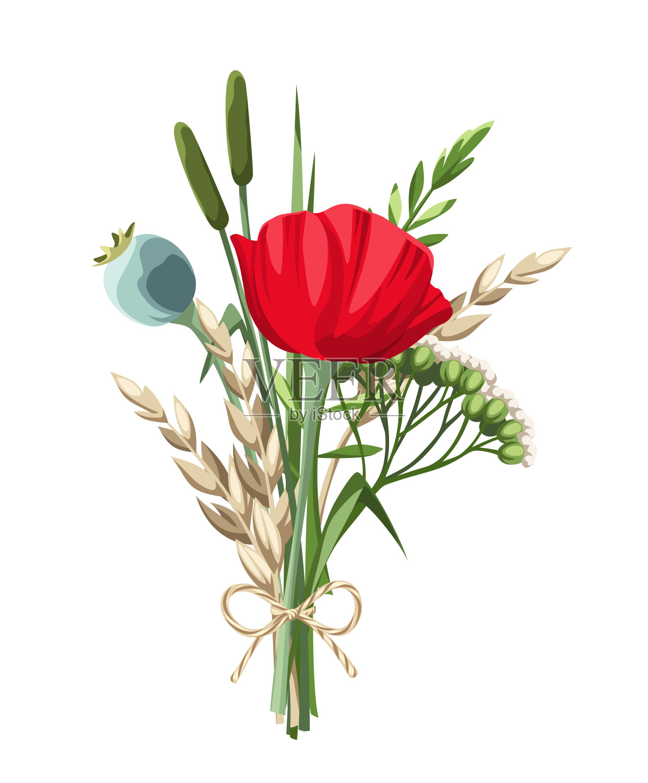 一束野花和草。矢量插图。插画图片素材