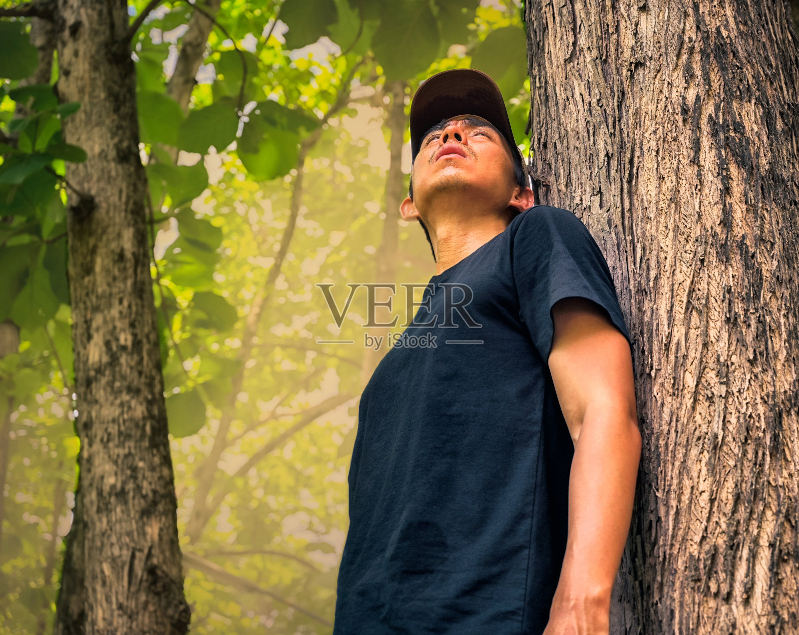 自下而上的视角，年轻人站在树下眺望远方，灵感、动力、自由和娱乐的概念照片摄影图片