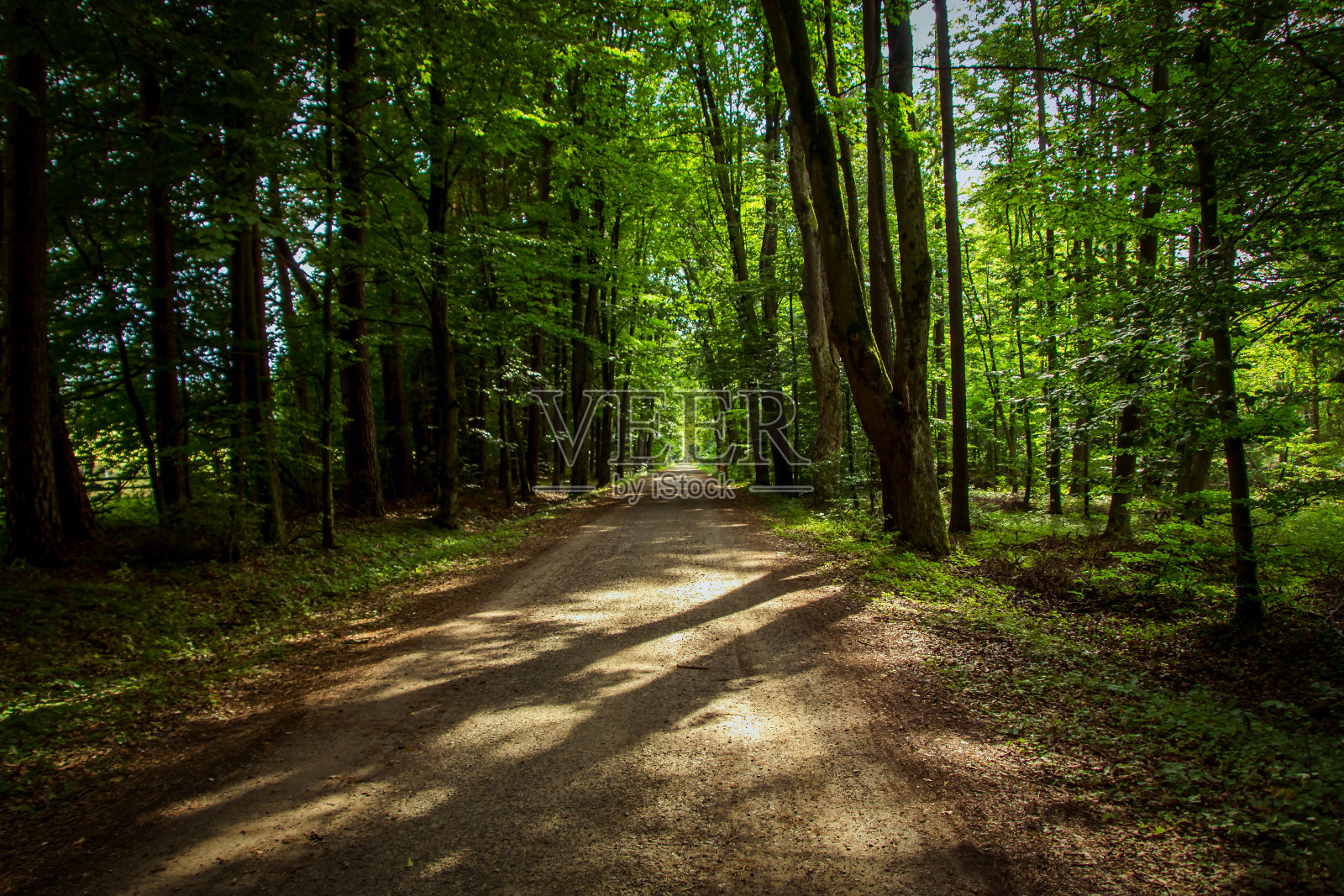 波兰东部照片摄影图片