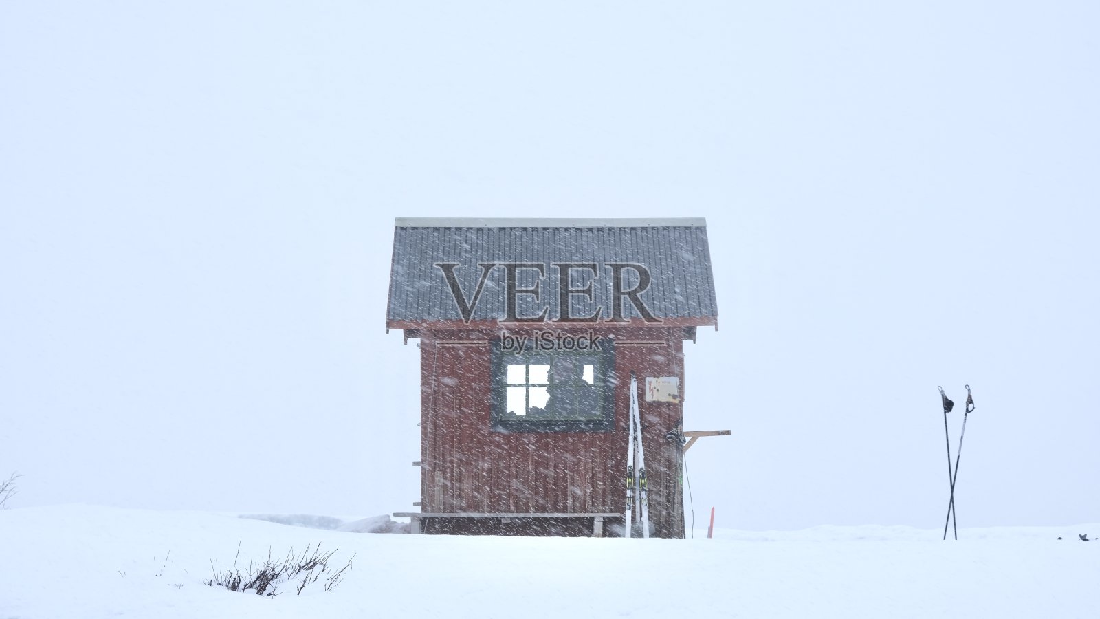 等待雪停照片摄影图片