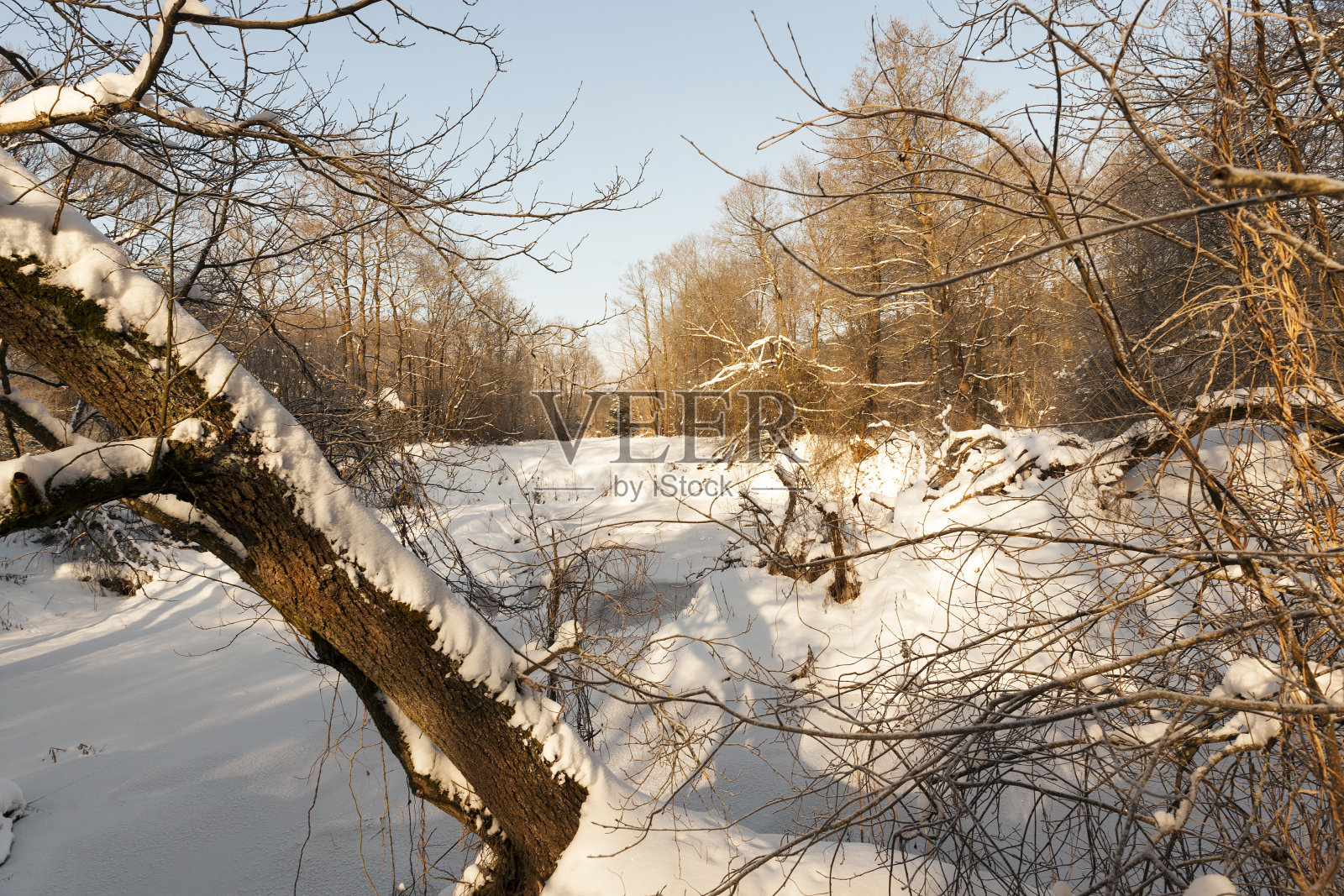 霜冻期间河里结冰的水照片摄影图片