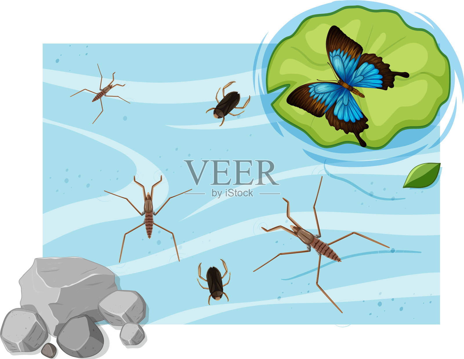 俯视图水生昆虫在池塘设计元素图片