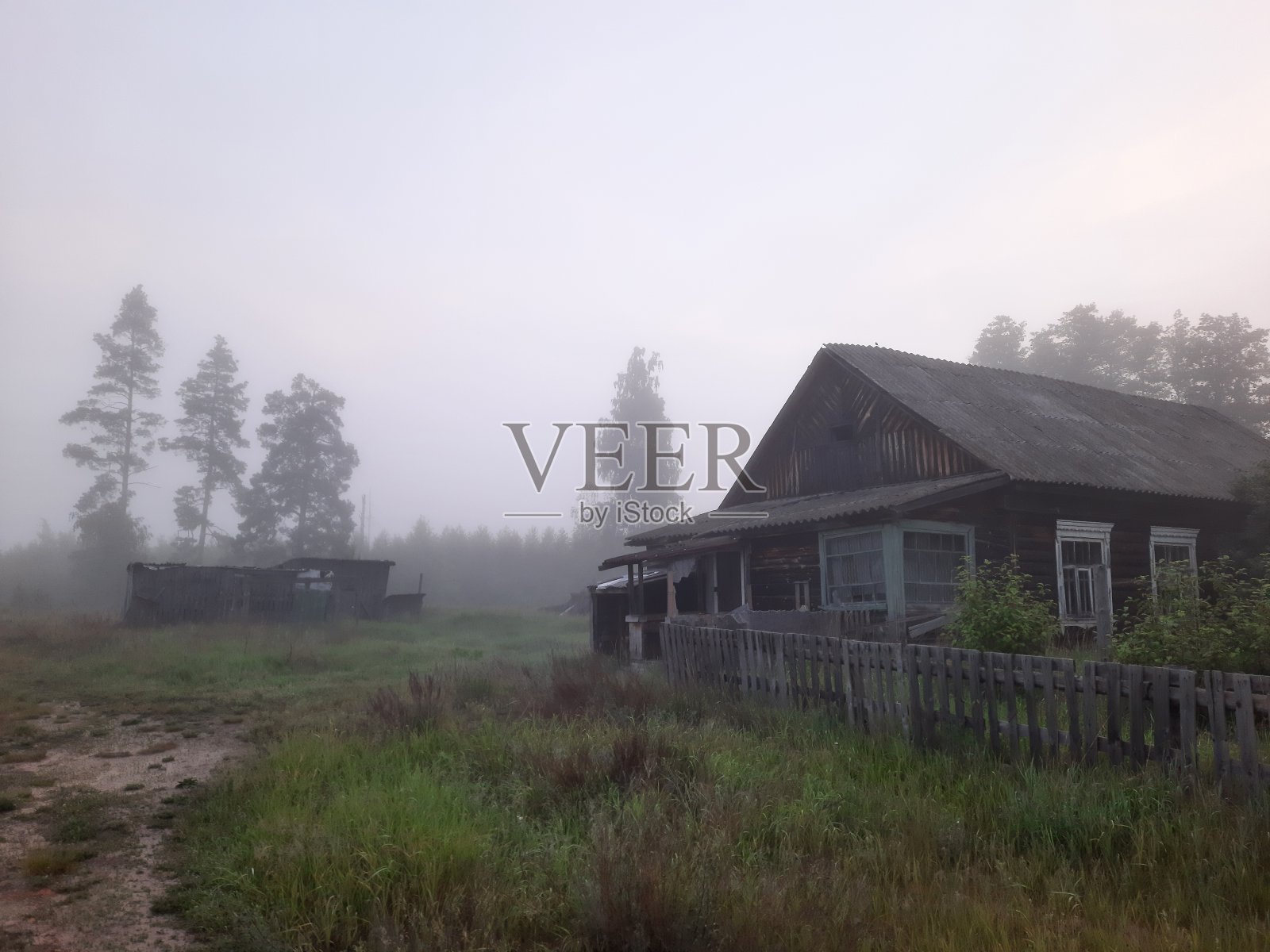 夏天的时间照片摄影图片