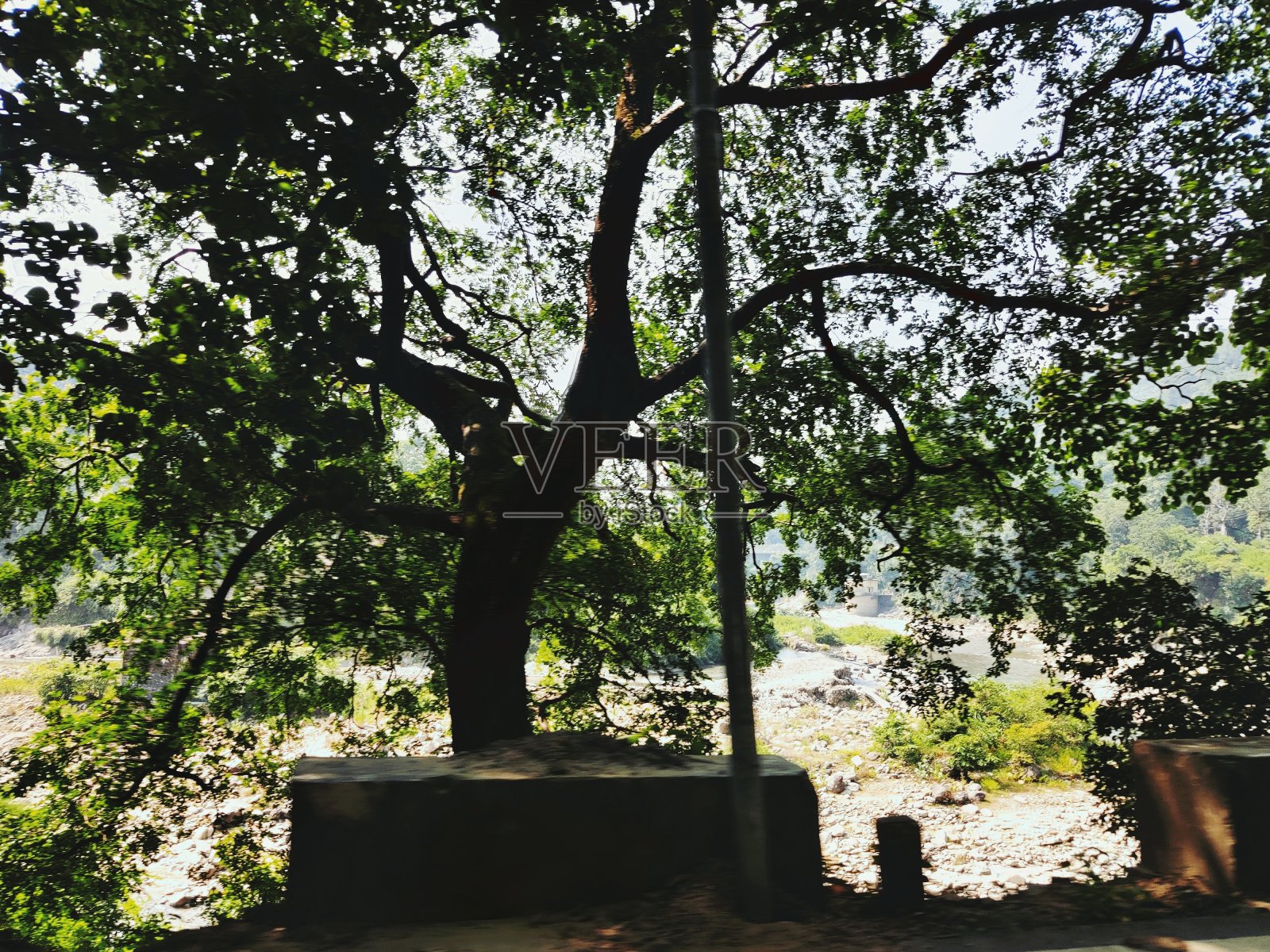 隐蔽的地方照片摄影图片