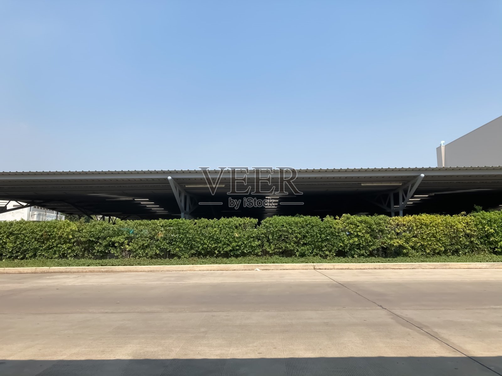 有草覆盖的停车场照片摄影图片