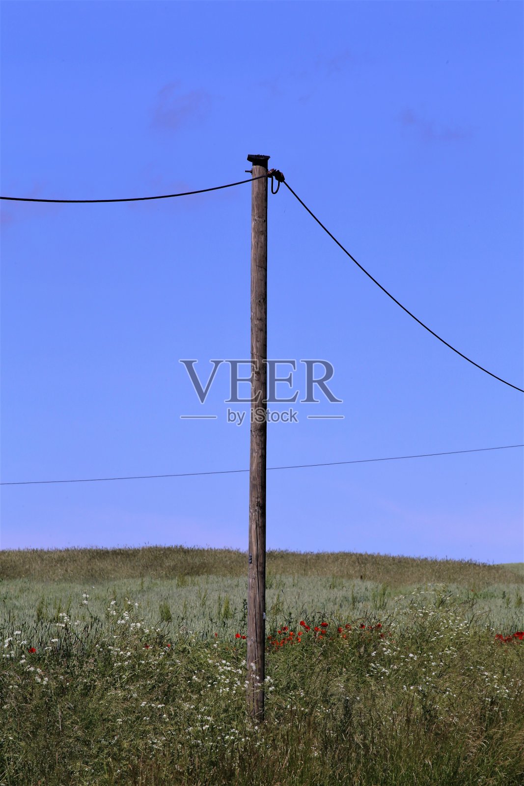 建筑起重机顶天照片摄影图片