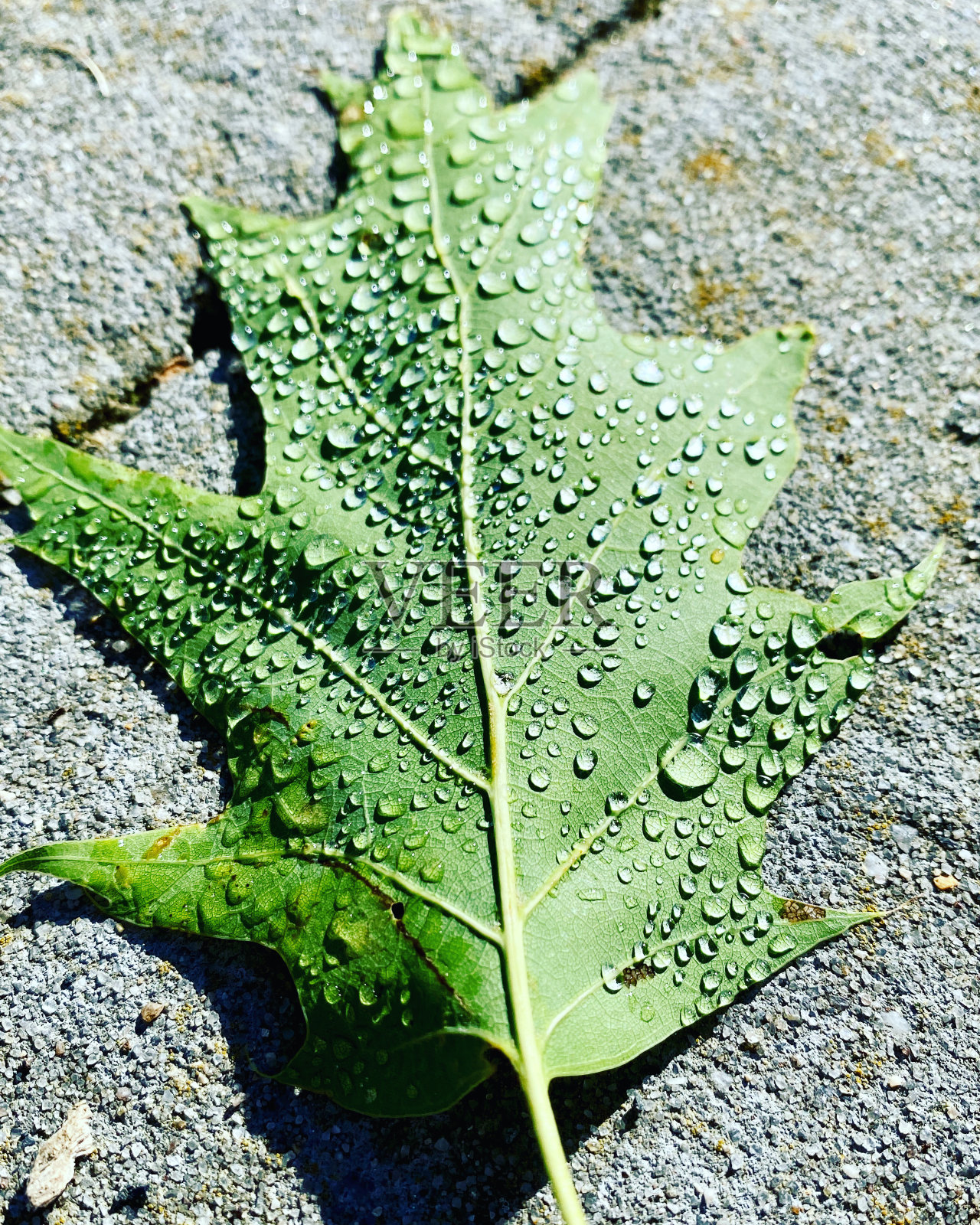 自然是最好的照片摄影图片