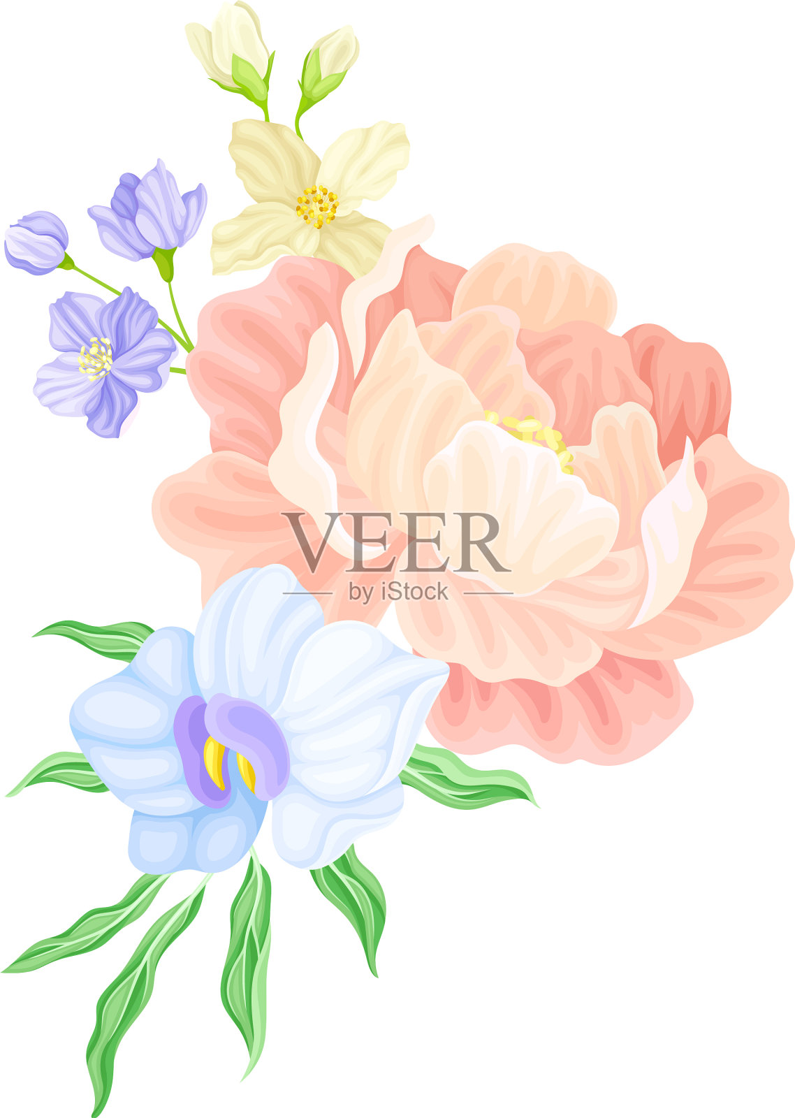 花束牡丹及园林花卉插画图片素材